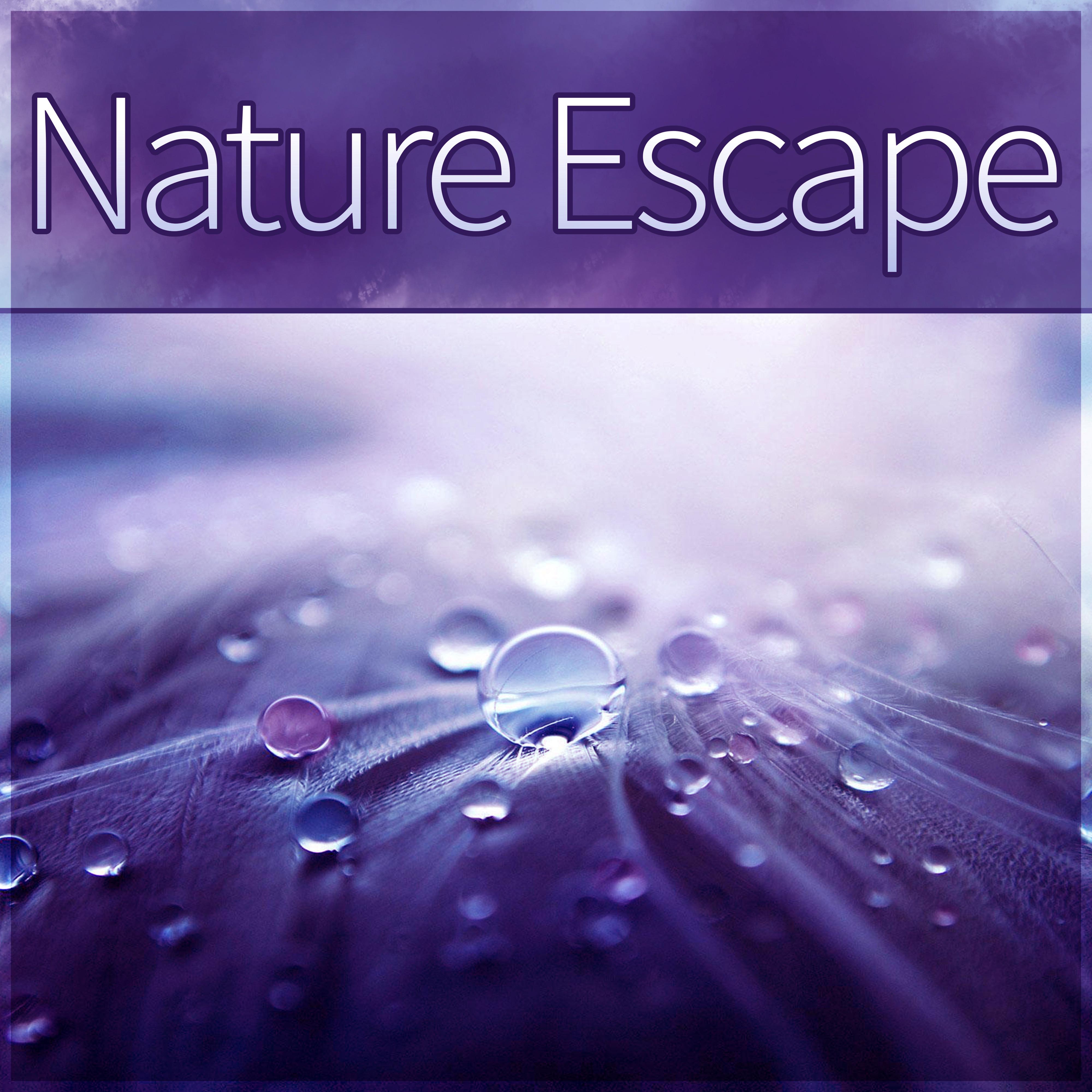 Nature Escape - Amazing Sounds with Piano, Relaxation Piano Music, Sad Piano music, Inspirational Music, Beautiful Nature Sounds, Total Relax