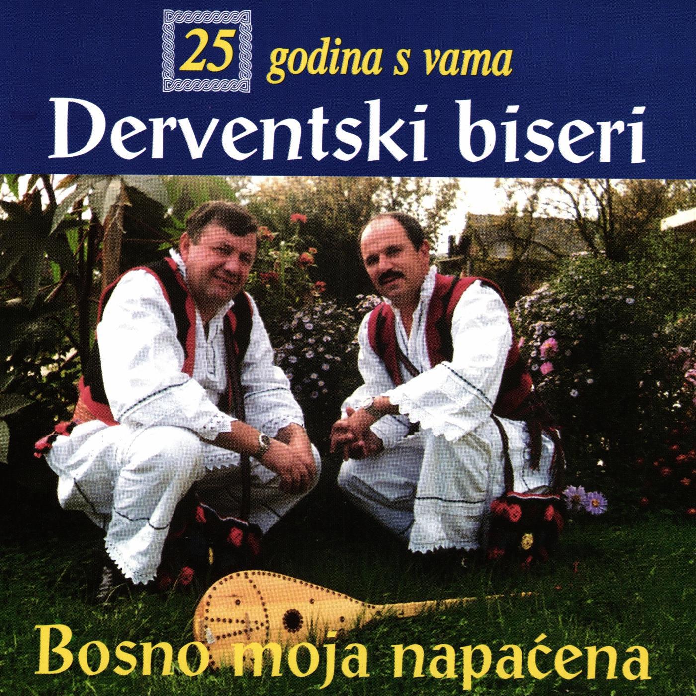 Bosno moja napačena