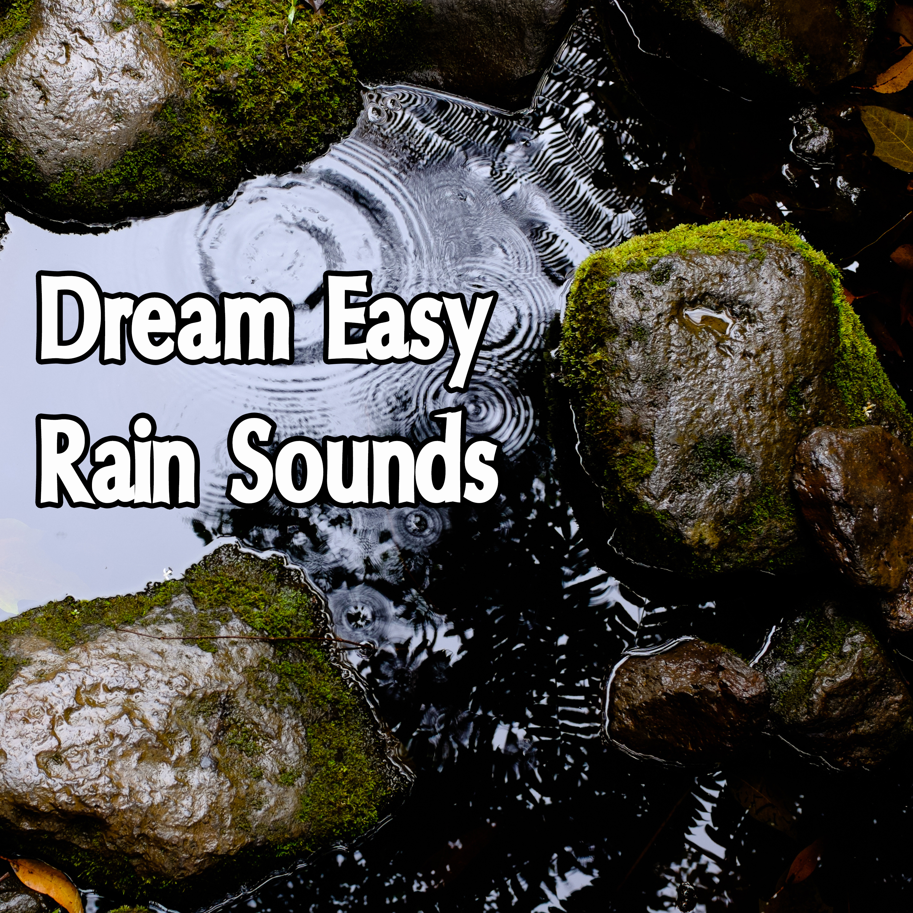 17 Dream Easy Rain Tracks
