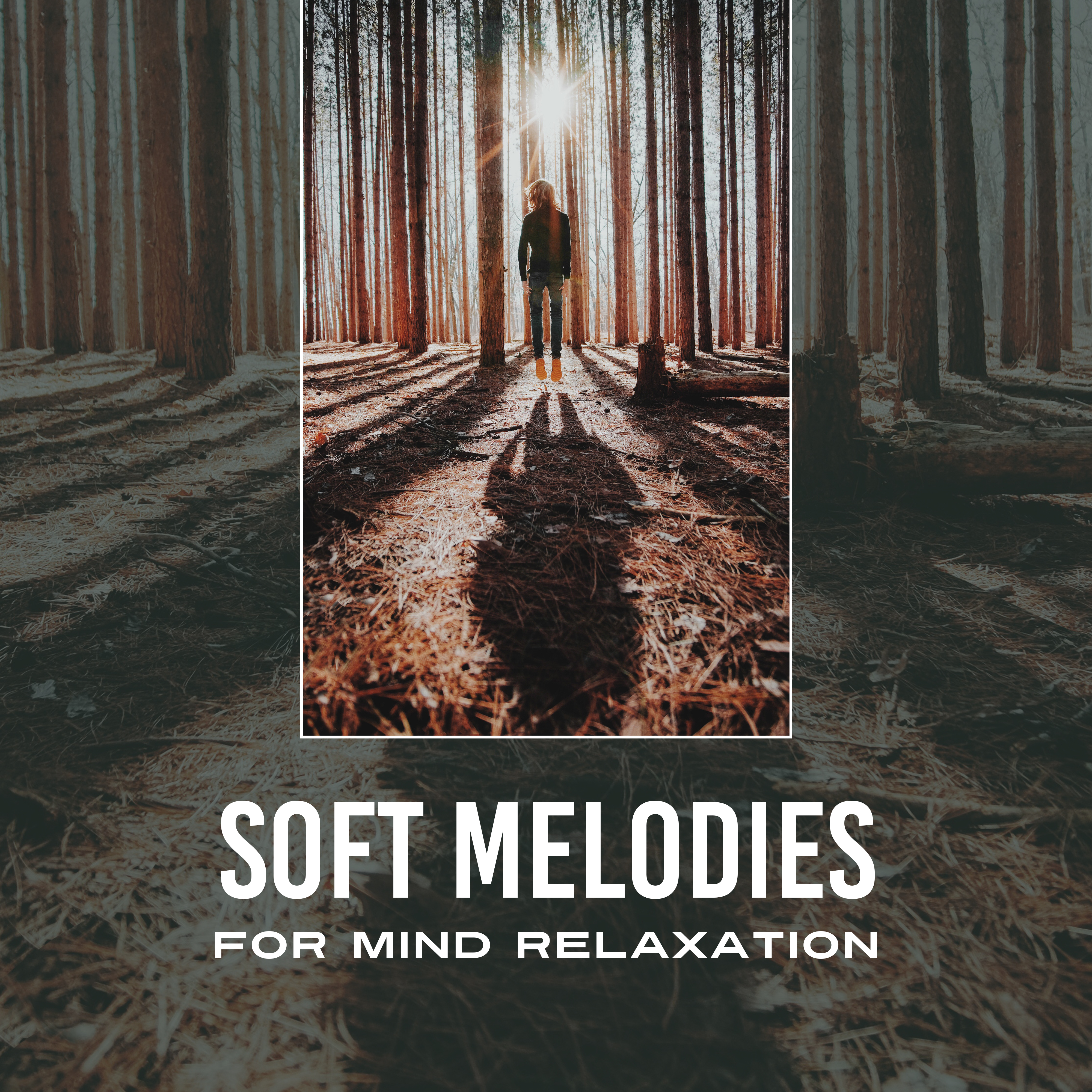 Soft Melodies for Mind Relaxation