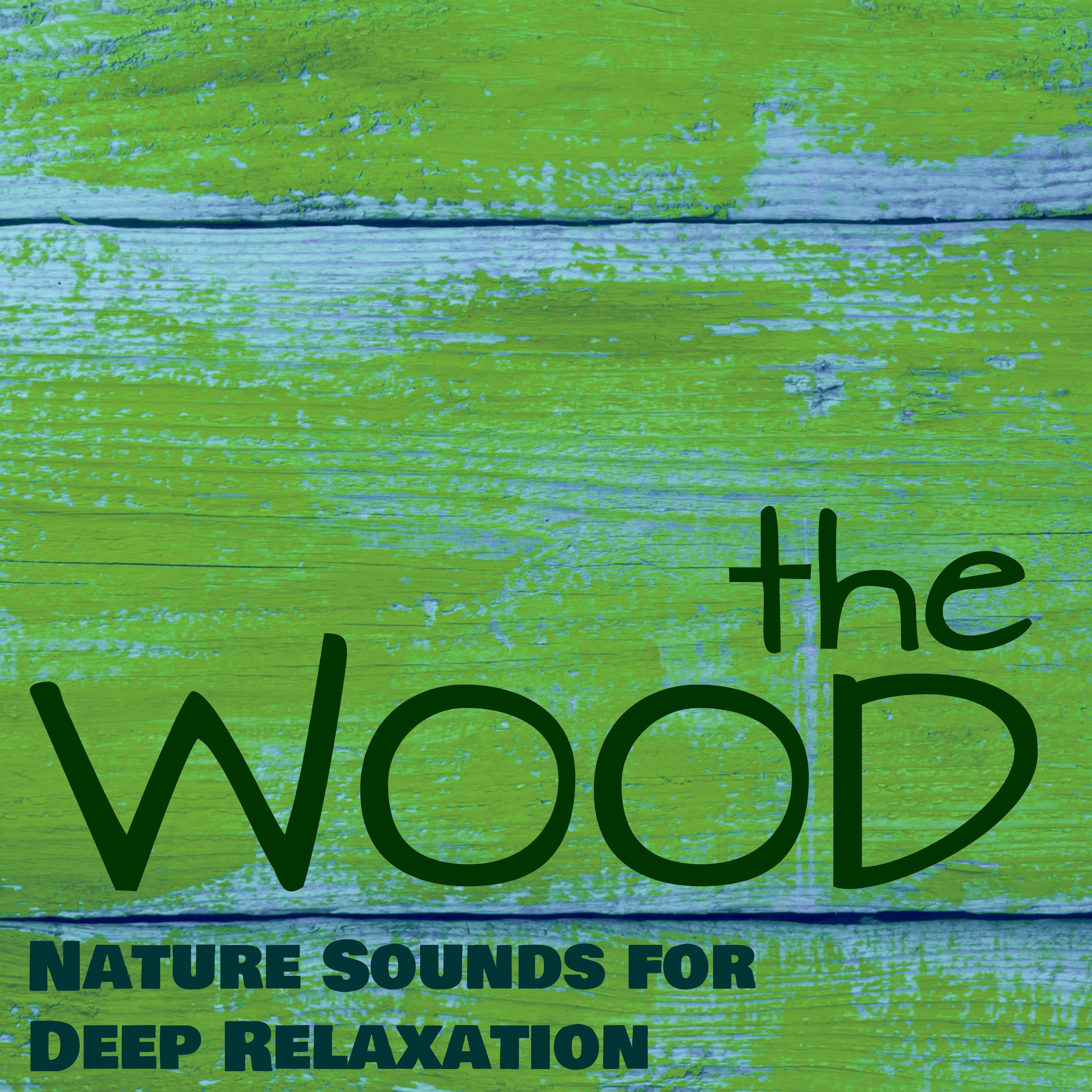 The Wood - Soothing Music Into the Nature Sounds for Deep Relaxation & Healing Meditation to Live Better and Happy
