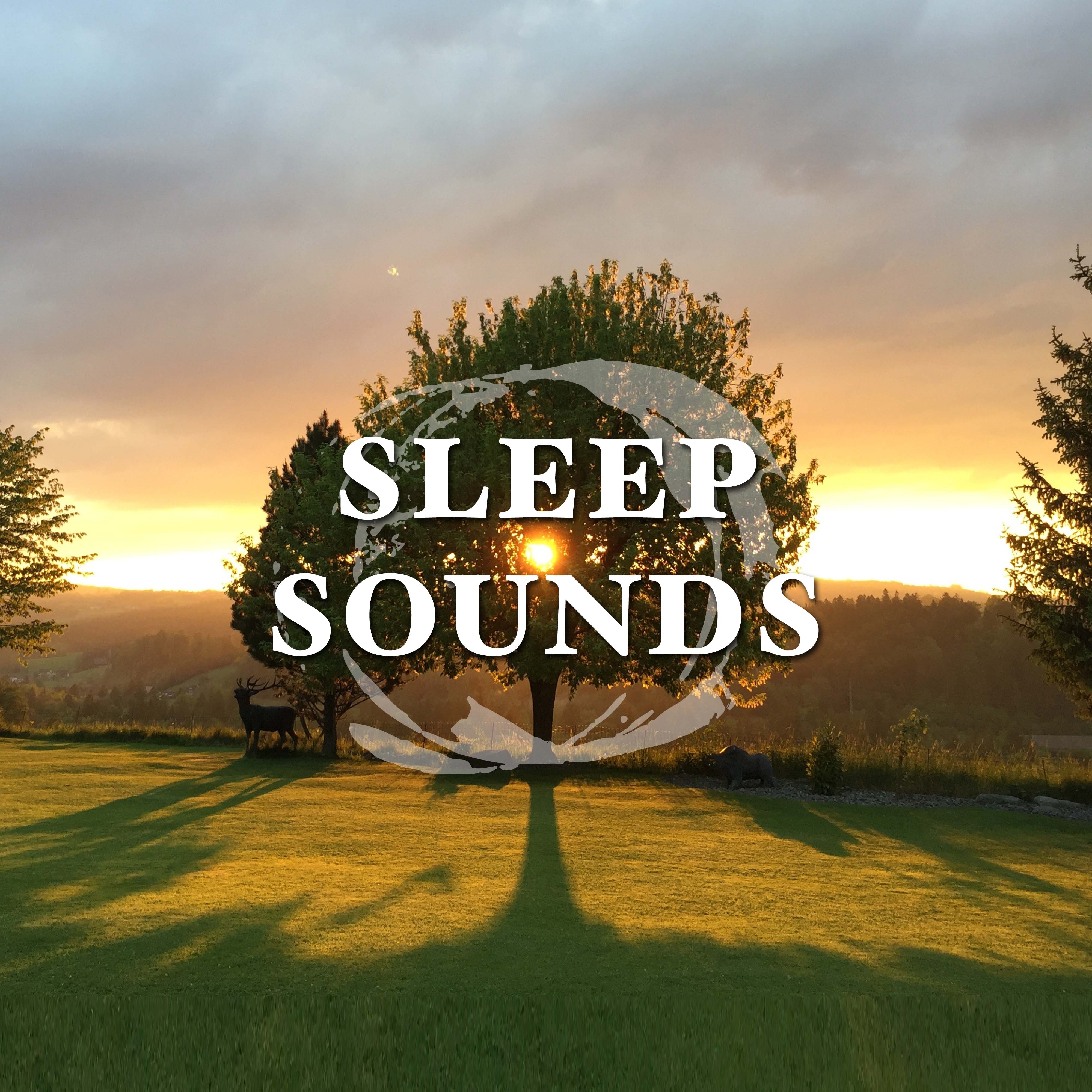 Sleep Sounds - Relaxing Sounds for Sleeping
