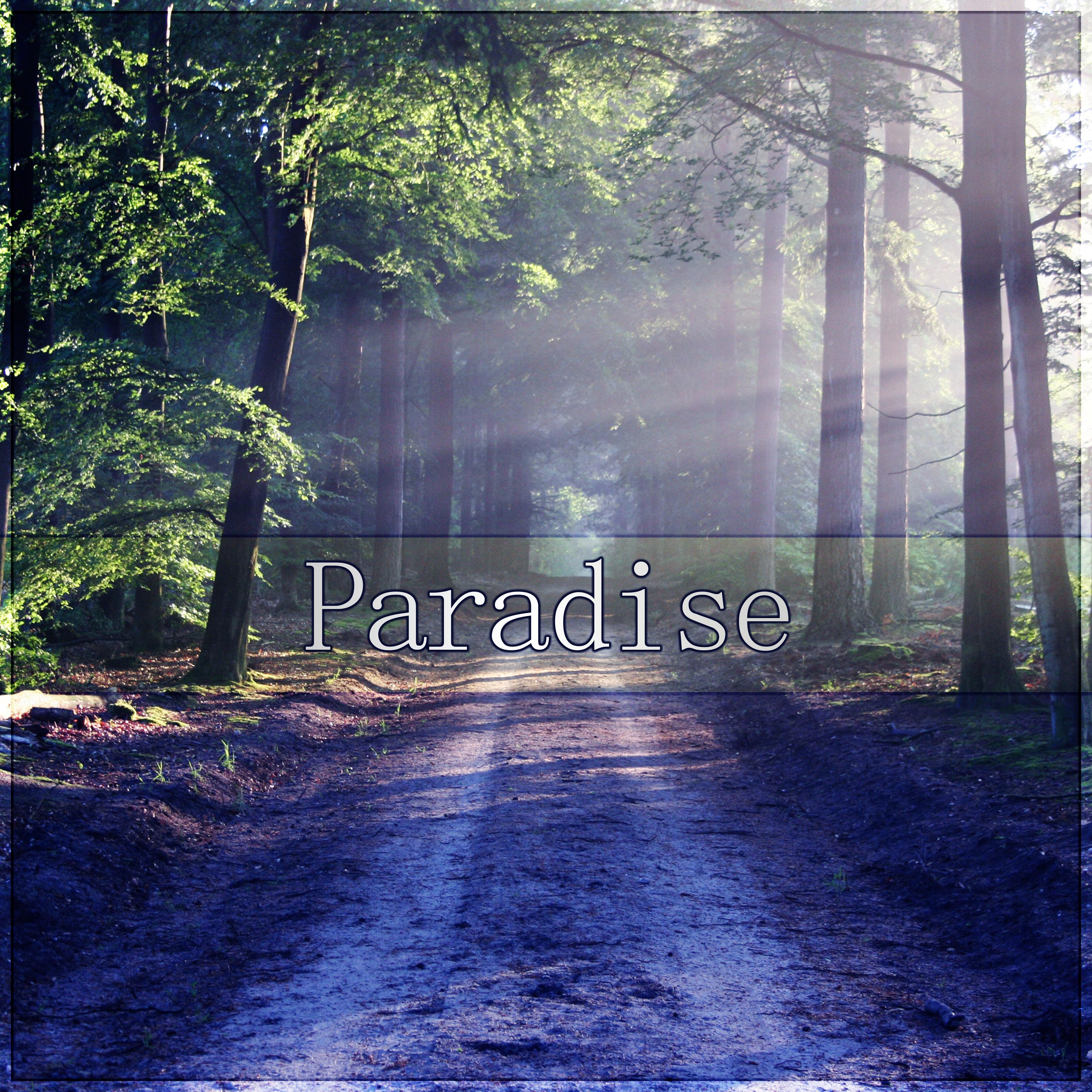 Paradise - The Best Instrumental Chillout Music, Good Mood, Morning Coffee, Time to Relax