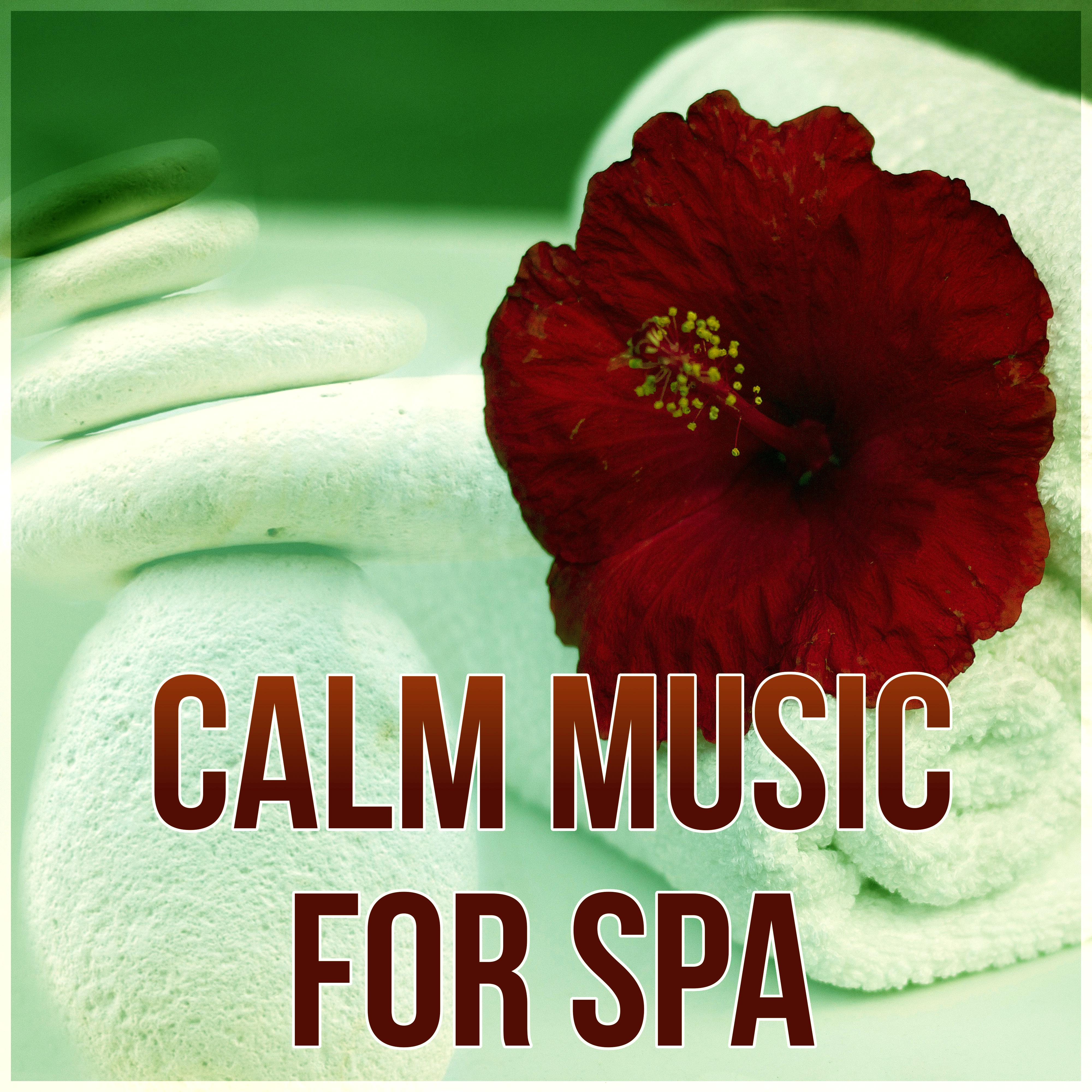 Calm Music for Spa -Relaxation, Sounds of Nature, Massage Music, Ambient Music, Inner Calm, Bliss Spa