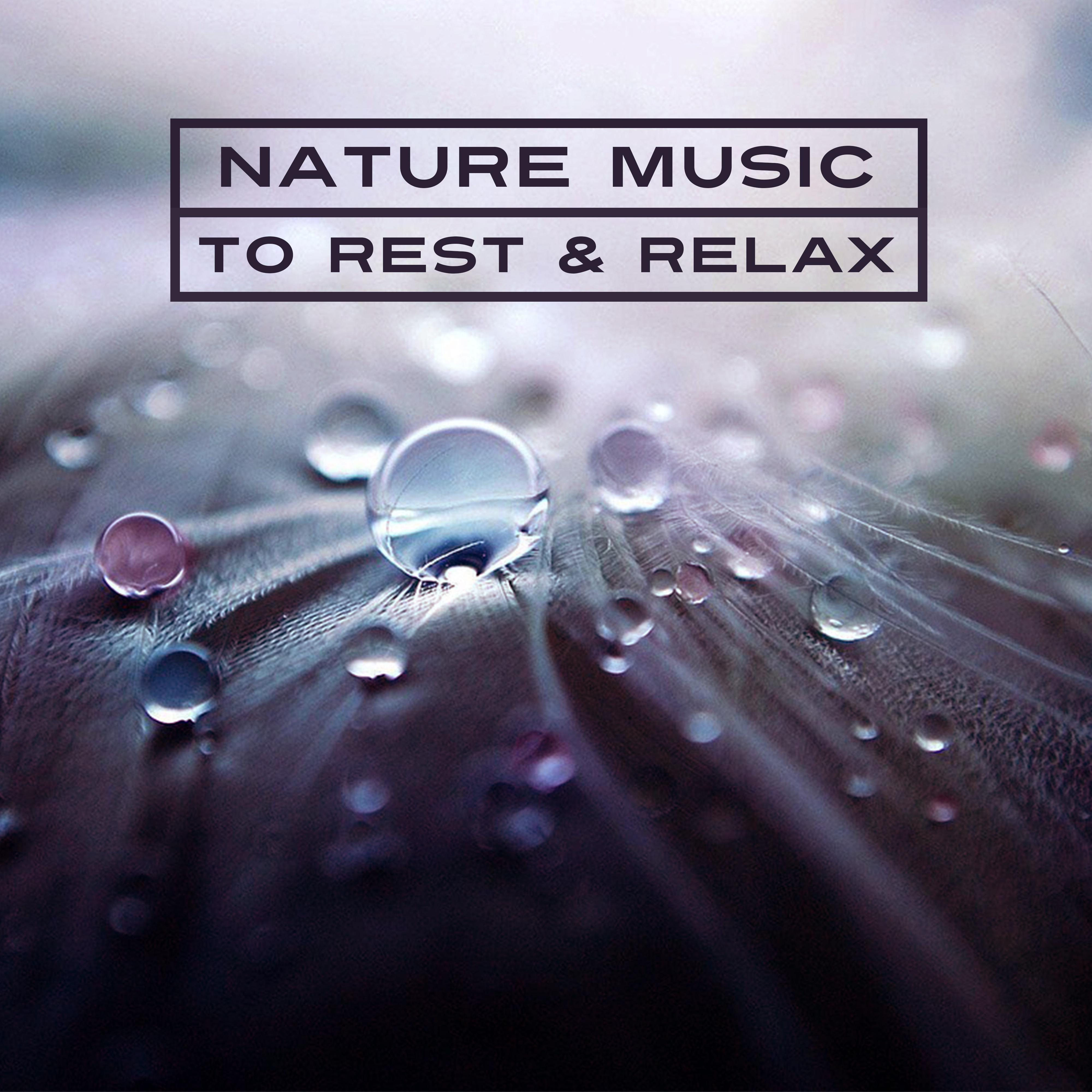 Nature Music to Rest & Relax – New Age Music, Sounds of Nature, Calm Waves, Healing Therapy
