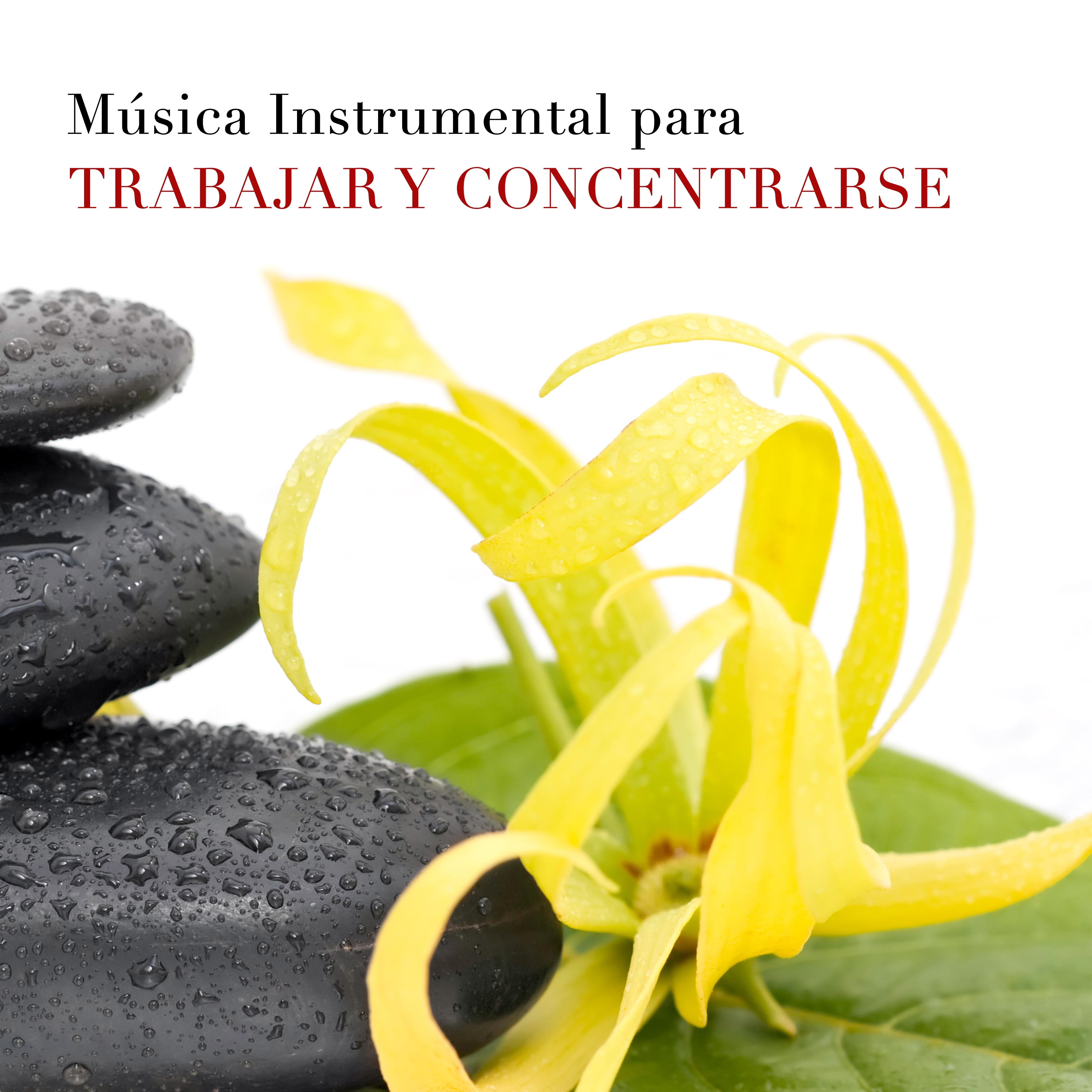 Música Instrumental para Trabajar y Concentrarse en la Oficina - Sonidos de la Naturaleza (Lluvia, Viento, Olas del Mar) juntos a Instrumentos Musicales Relajantes como Flauta de Pan, Piano, Ocarina