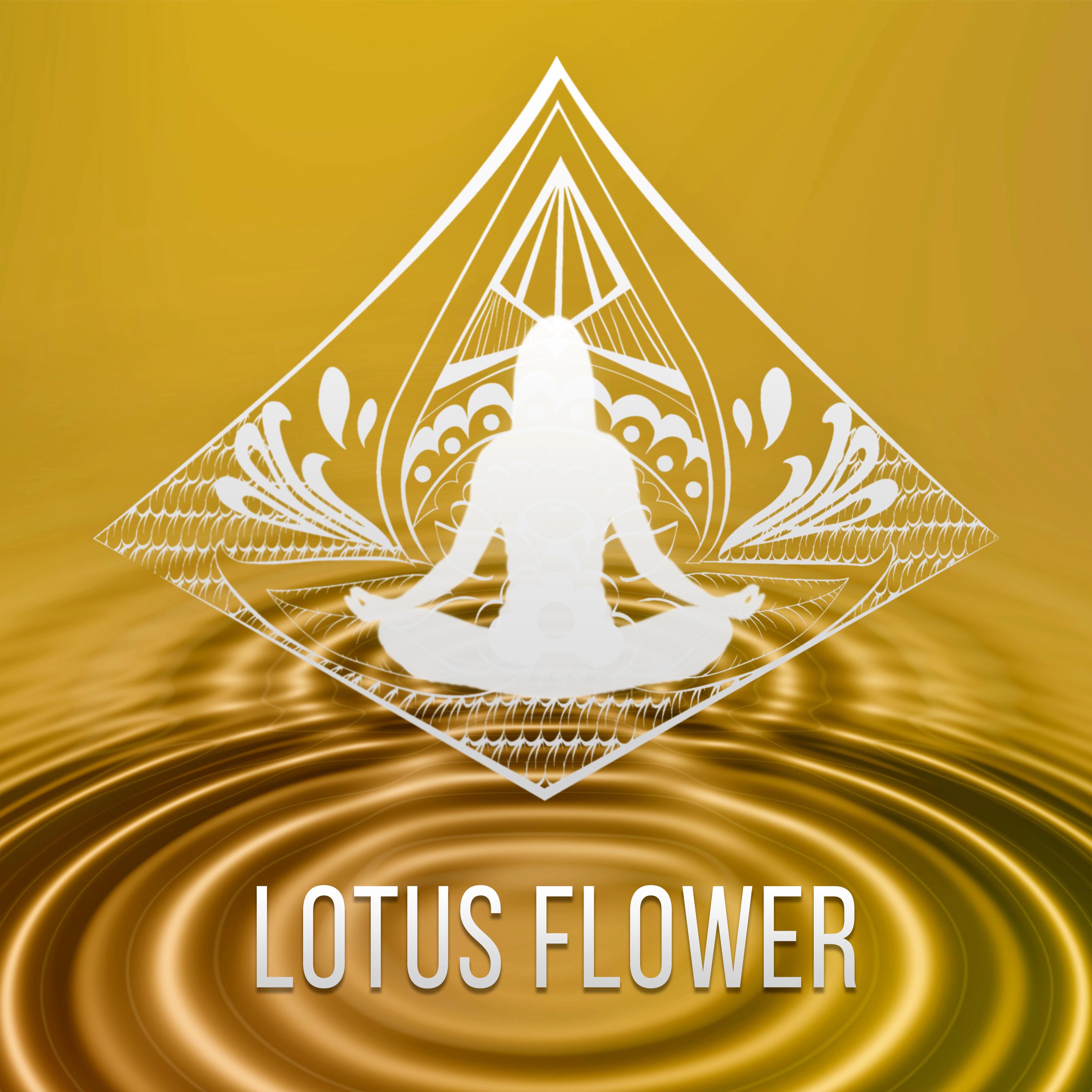 Lotus Flower –  Hot Oil Massage Relaxation, Reiki Healing Background Music, Meditation & Yoga, Calm Music for Wellness Center, Stress Relief, Sleep Music