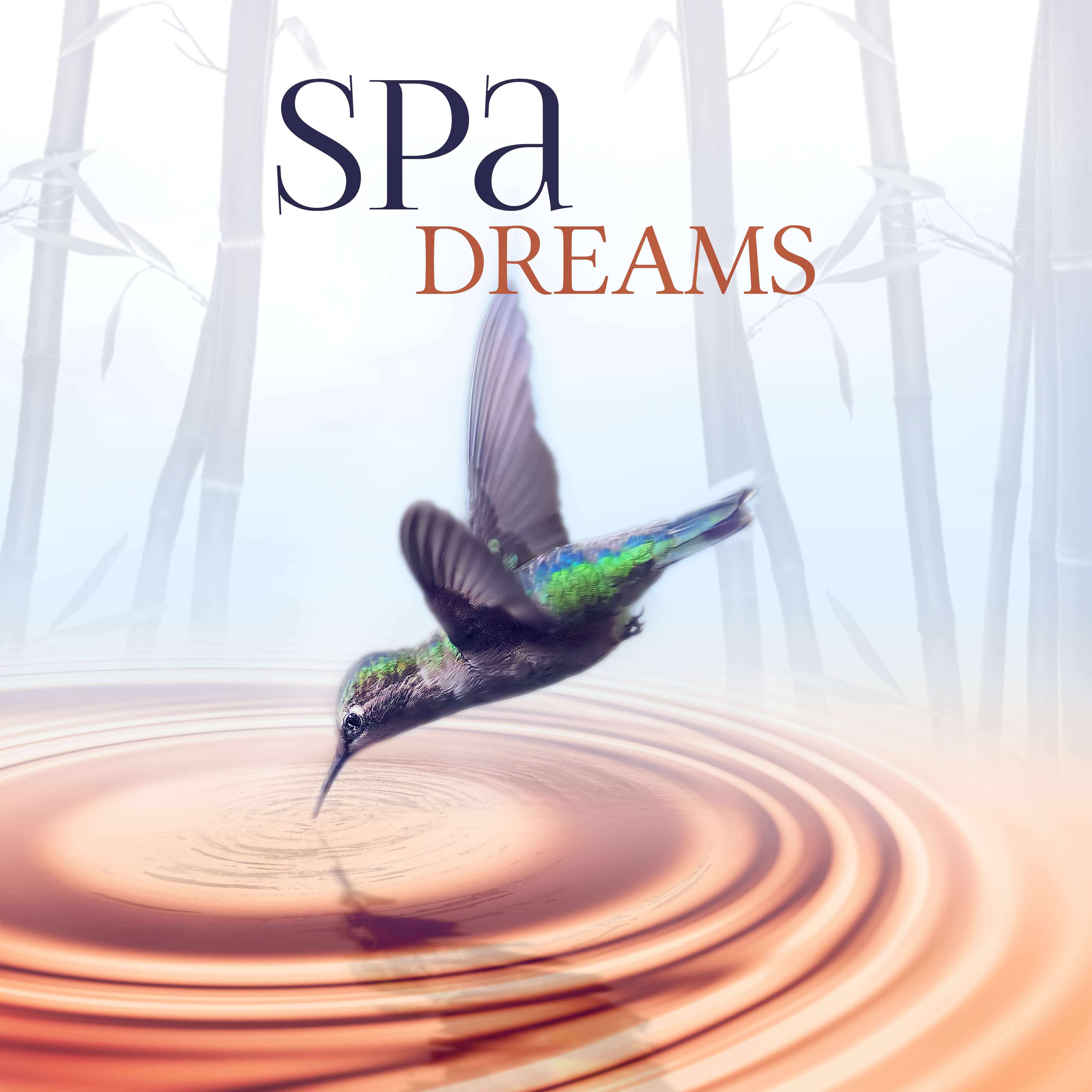 Spa Dreams – Music for Massage, Wellness, Meditation, Deep Relaxation, Beauty