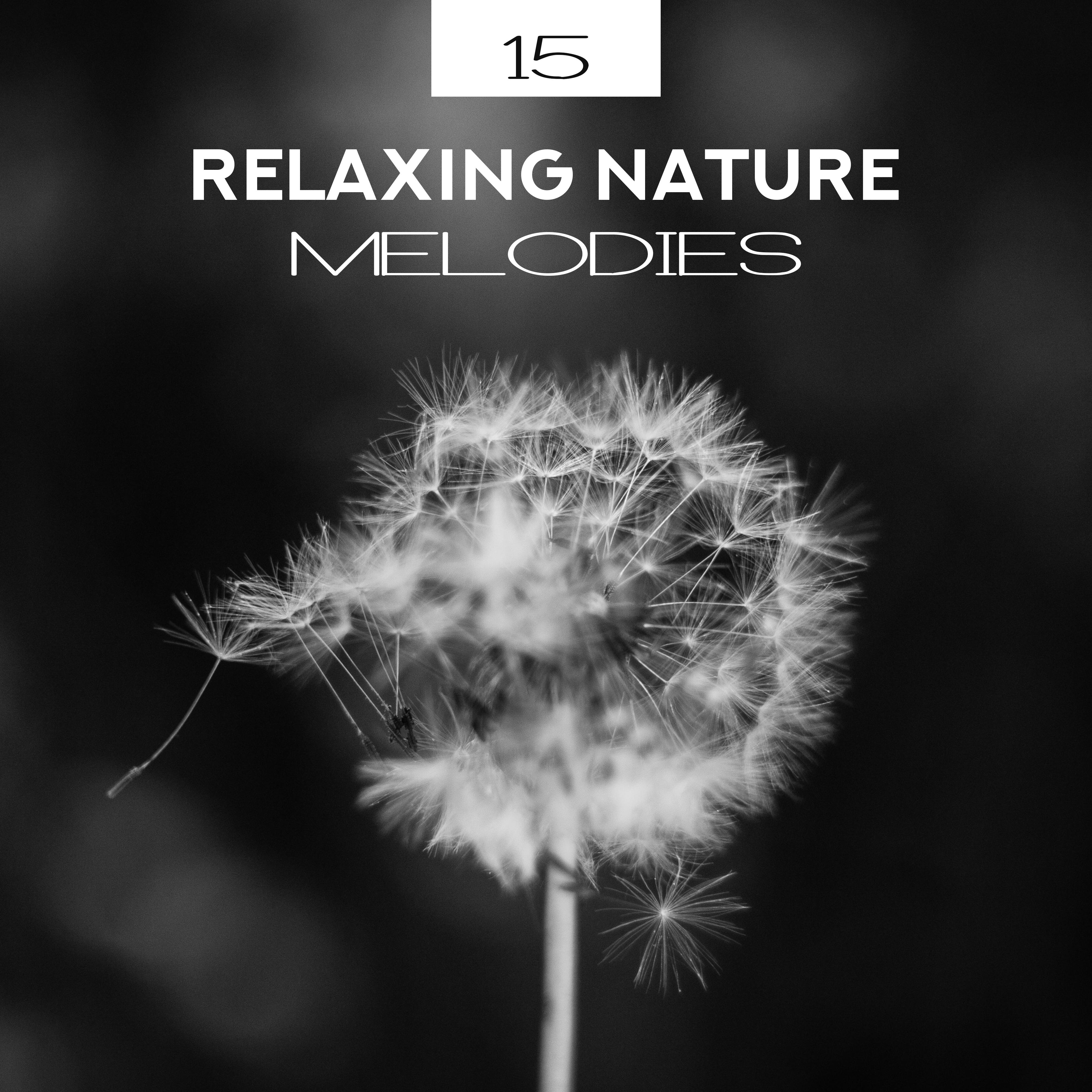 15 Relaxing Nature Melodies