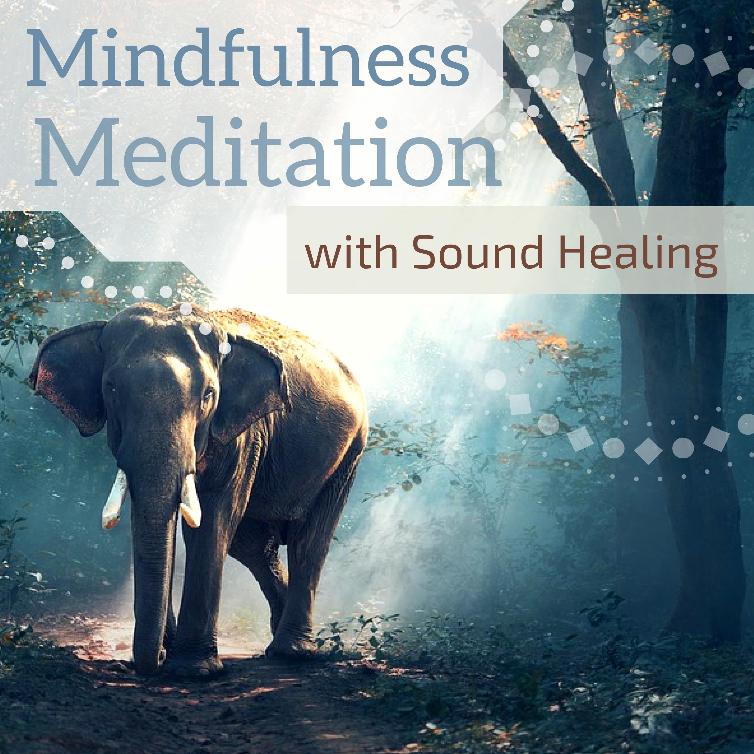 Mindfulness Meditation with Sound Healing - 80 Songs for Healing Anxiety & Inner Peace