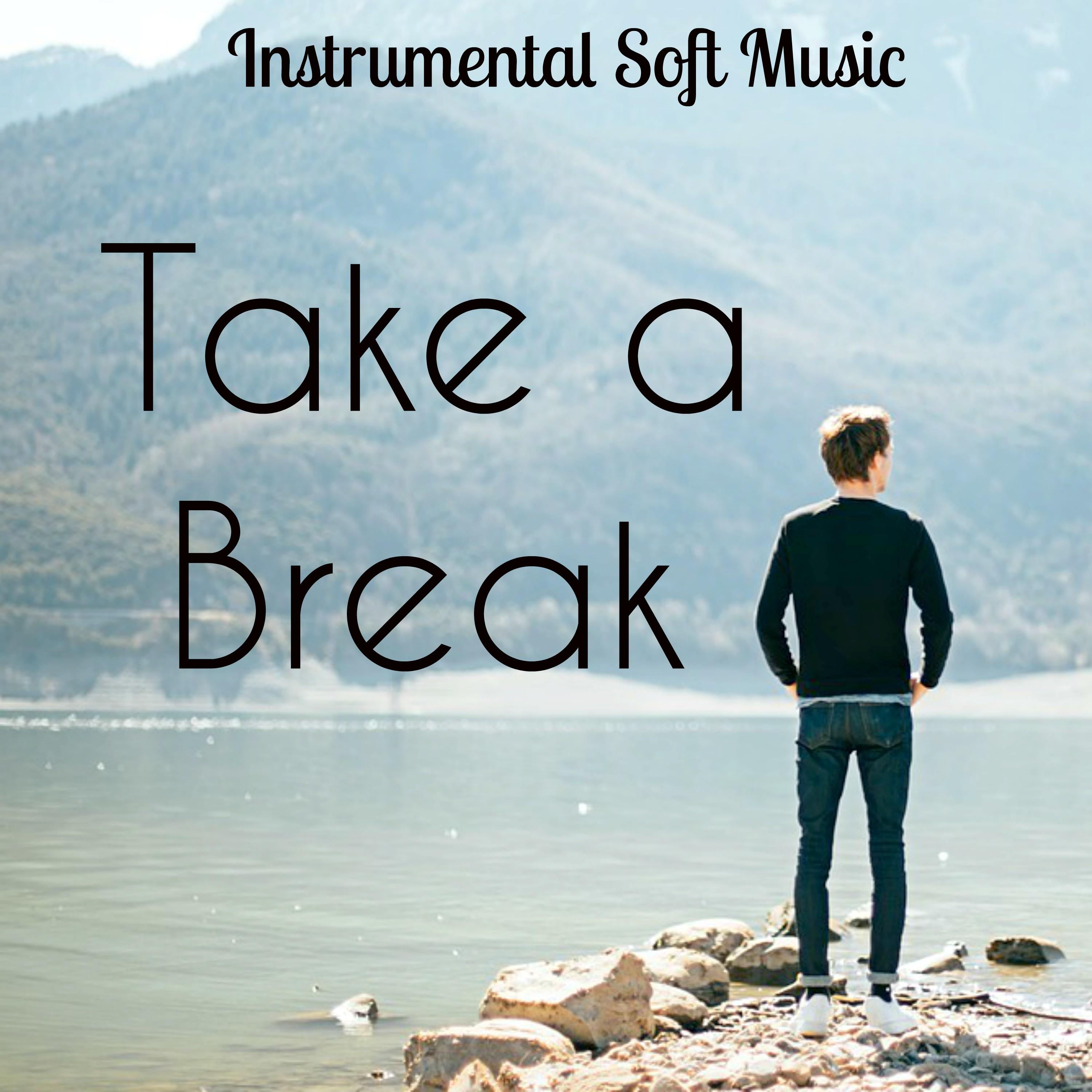 Take a Break - Instrumental Soft Music for Healing Massage Bio Life with New Age Nature Sounds