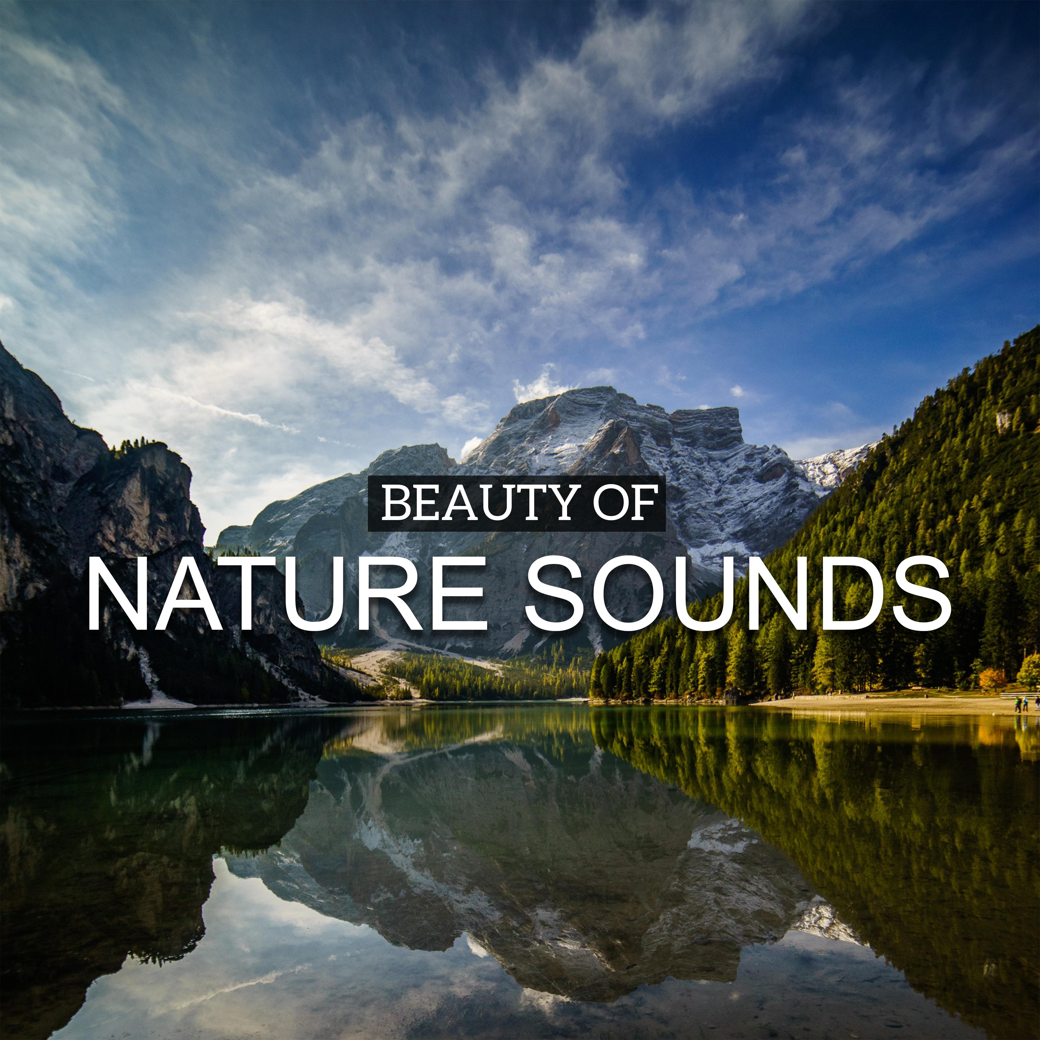 Beauty of Nature Sounds