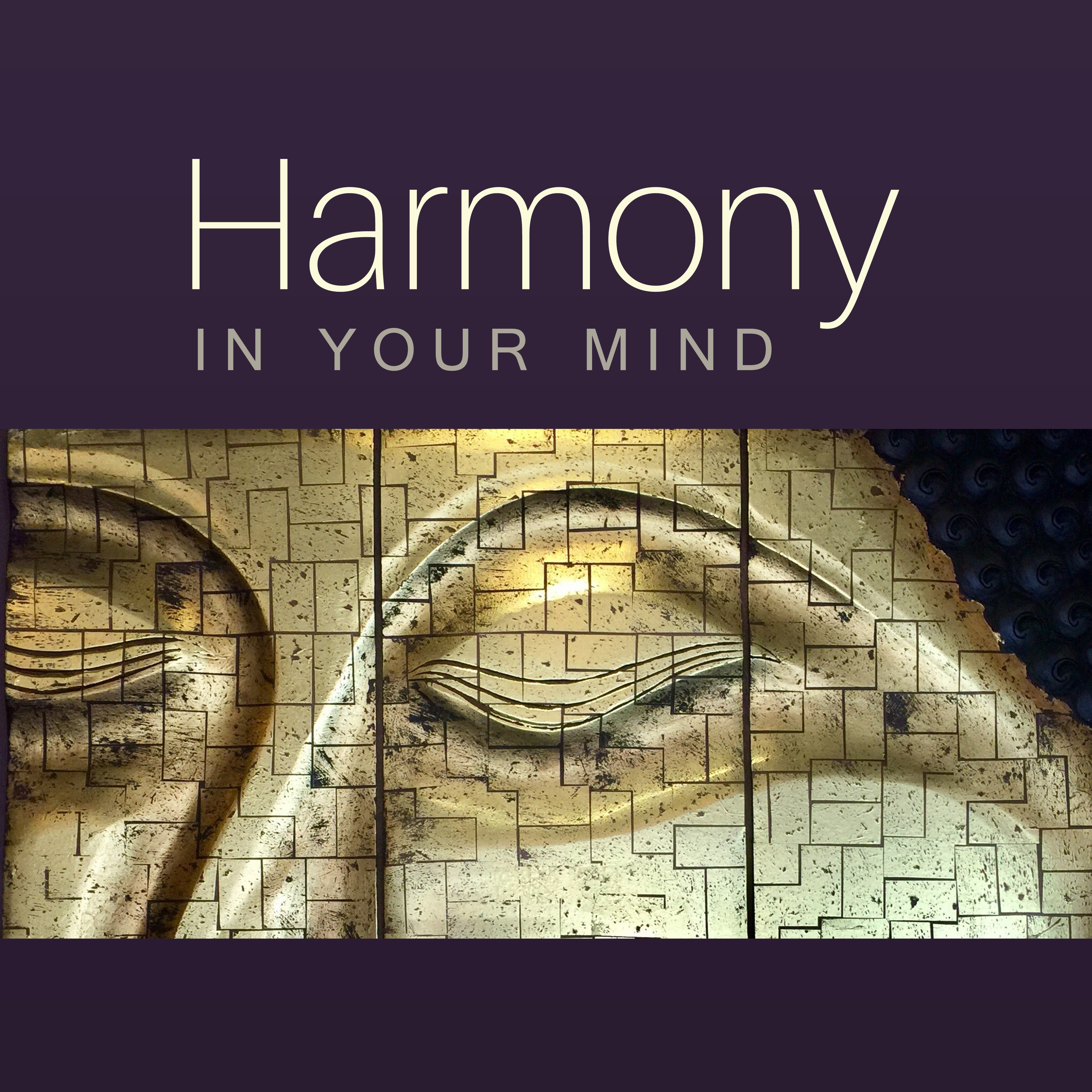 Harmony in Your Mind – Buddha Lounge, Reiki Music for Yoga, Meditation, Stress Relief, Pure Mind, Chakra Balancing, Zen