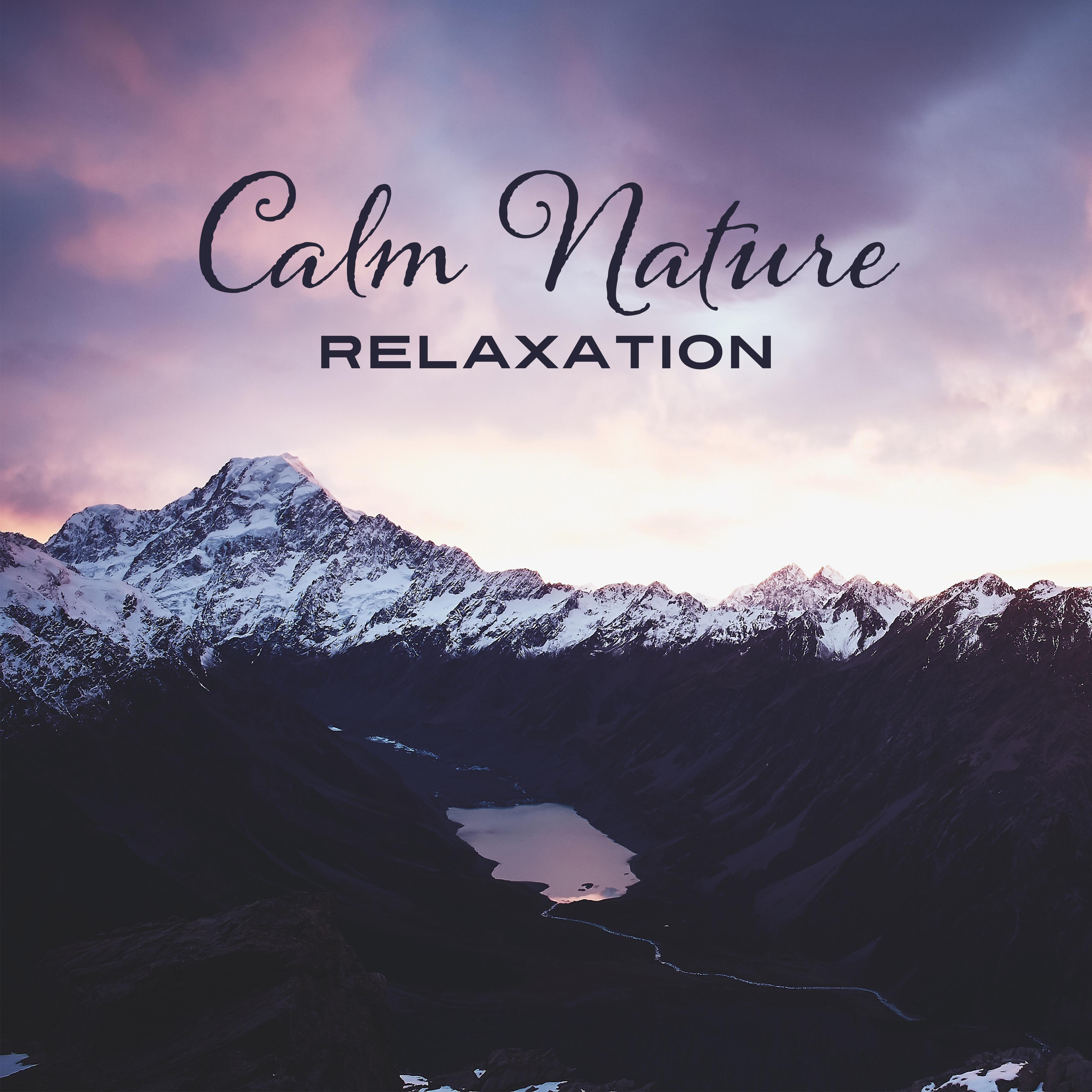 Calm Nature Relaxation – Easy Listening, Therapy Music, Healing Waves, Nature Calmness, Sea Sounds