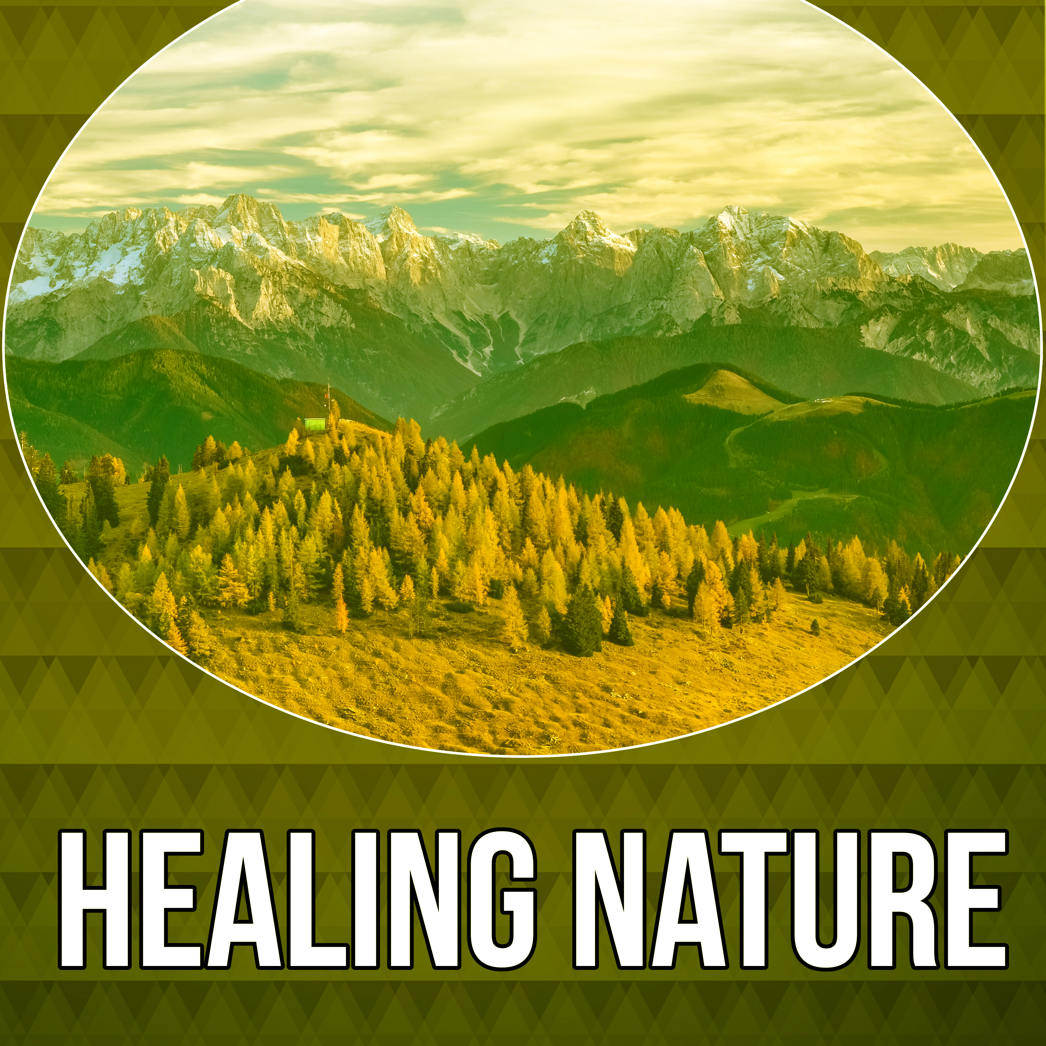 Healing Nature – Deep Healing, Soothing Relaxation, Waves Sounds, Calm Down, Nature Sounds, Peaceful Music