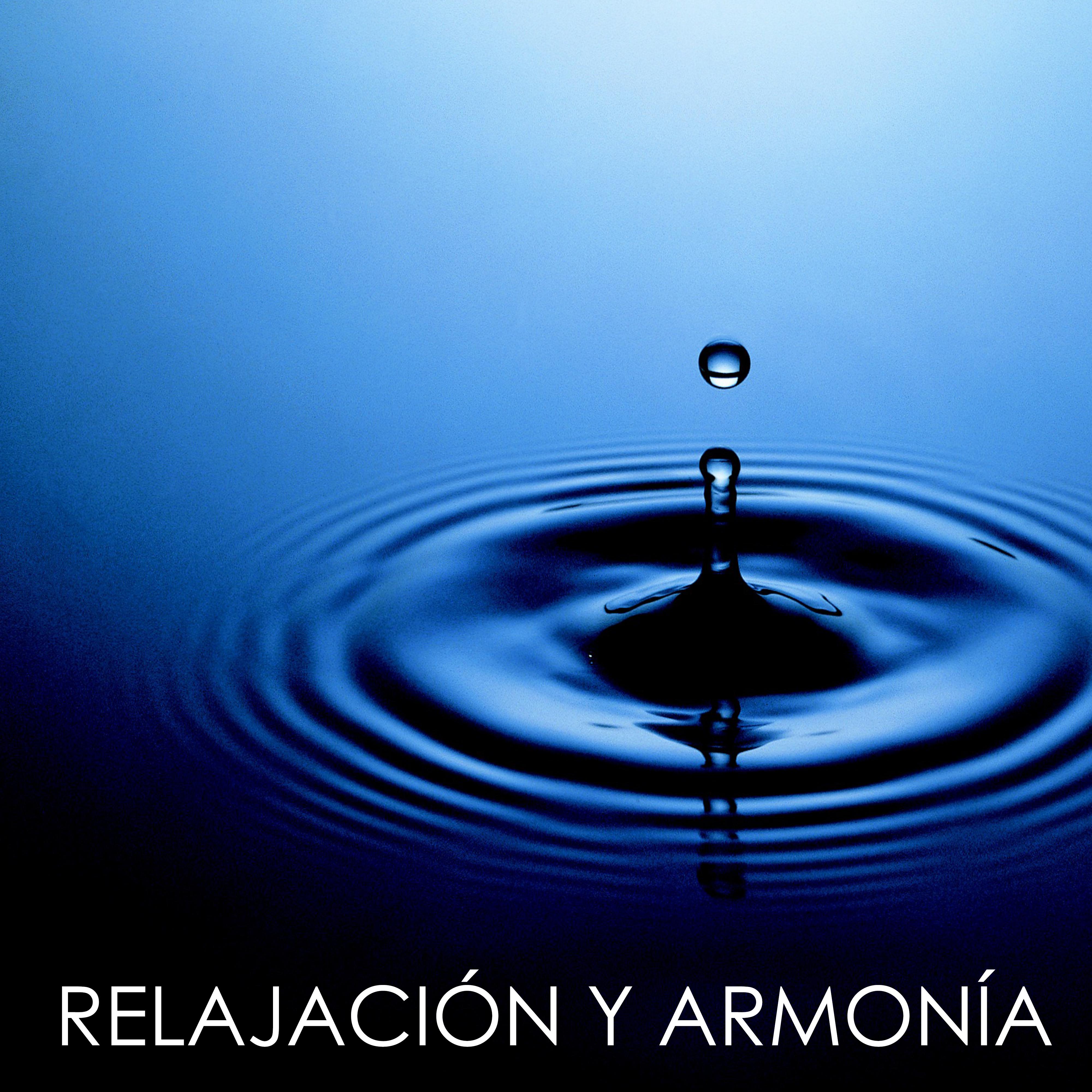 Meditacion Reiki