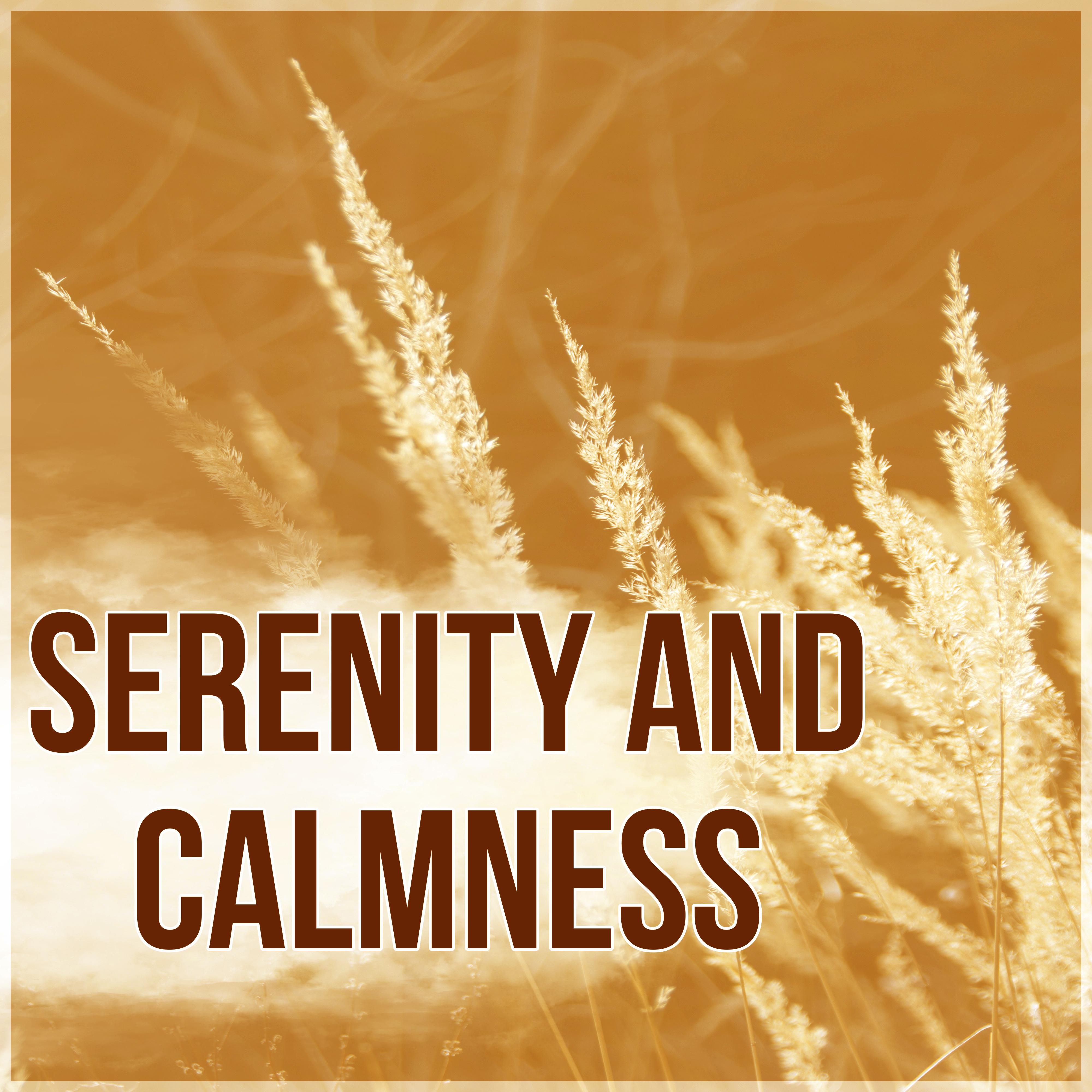 Serenity and Calmness - Background for Bedtime Stories, Secret Garden, Relax, Meditate, Rest