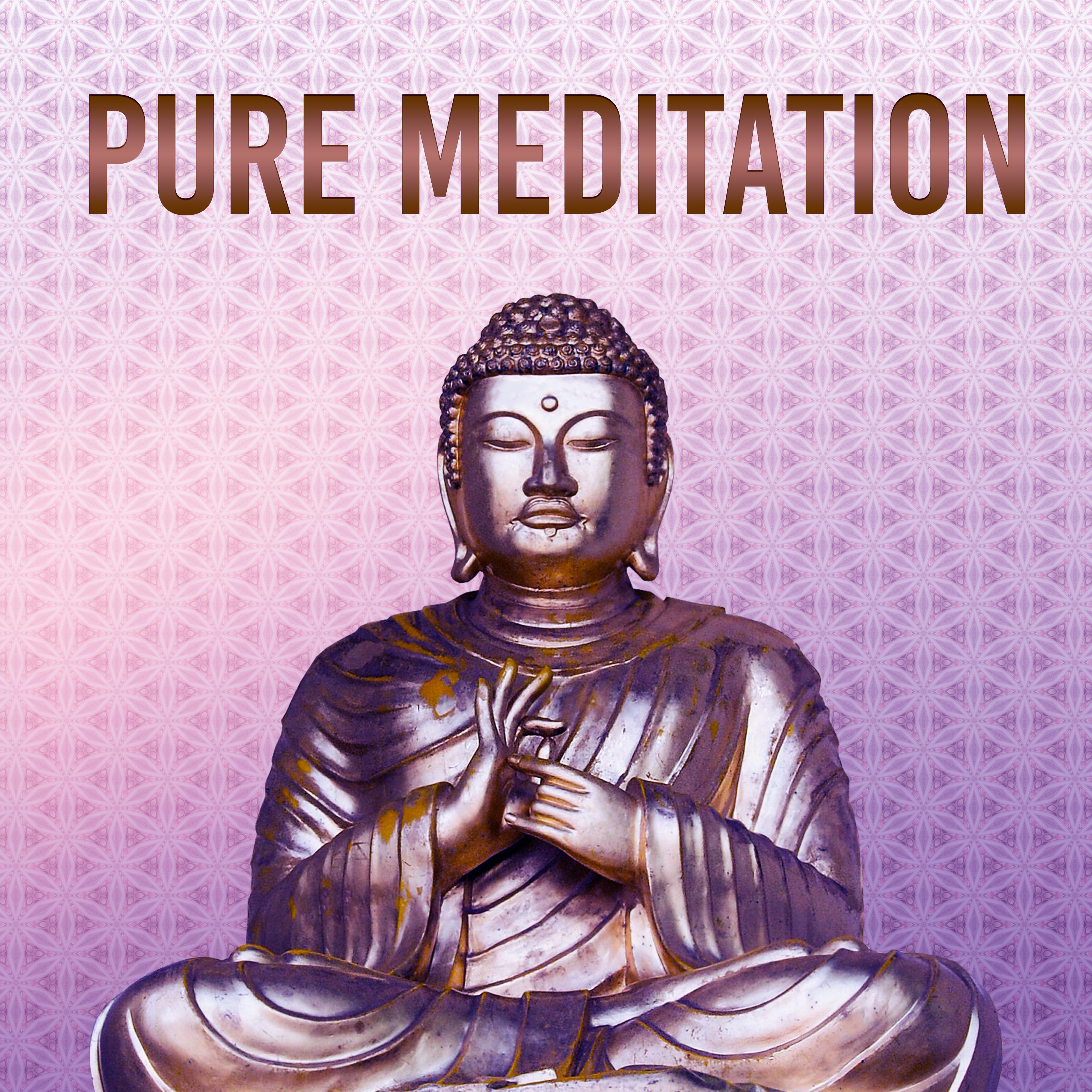 Pure Meditation – Training Yoga, Peaceful Mind, Tranquility, Stress Relief, Chakra Balancing, Deep Meditation, Zen Music, Harmony