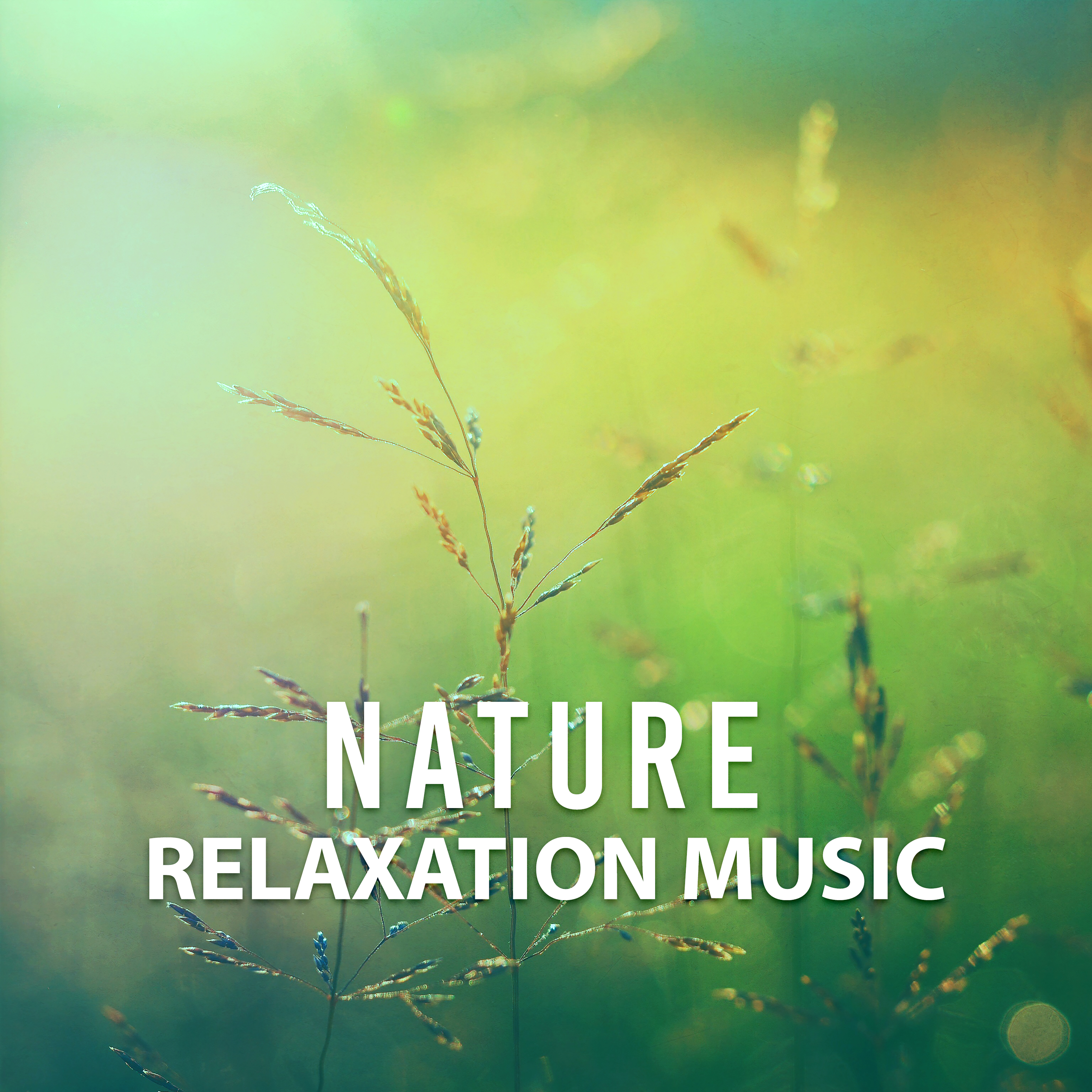 Nature Relaxation Music – Rest with New Age, Nature Sounds, Music for Stress Relief, Relax Yourself