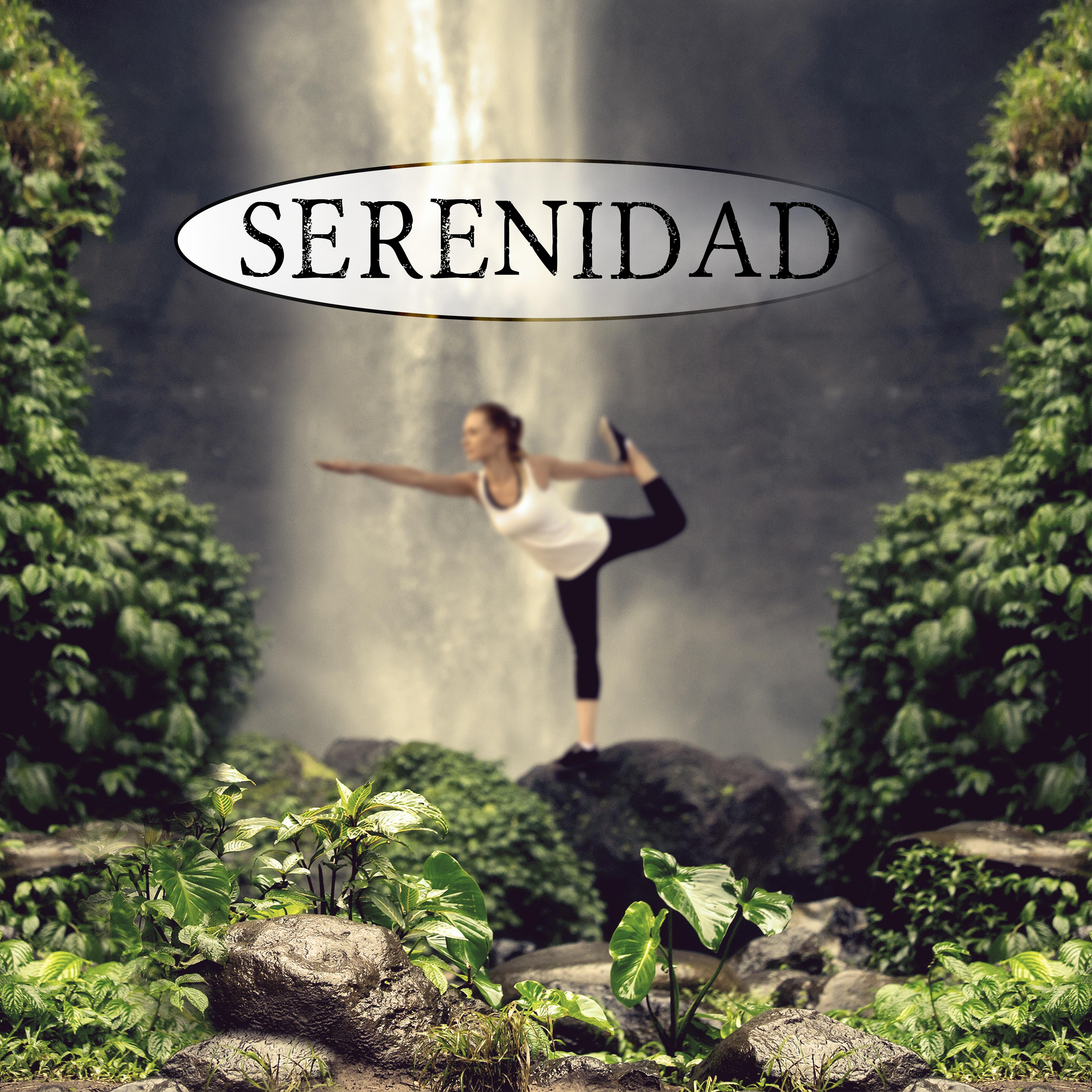 Serenidad - Música de Meditacion para la Ansiedad, Levantarse y Calmar la Mente, Sonidos para la Relajación Muscular y Wellness, Yoga, Reiki, Bien Estar, Pensamiento Positivo