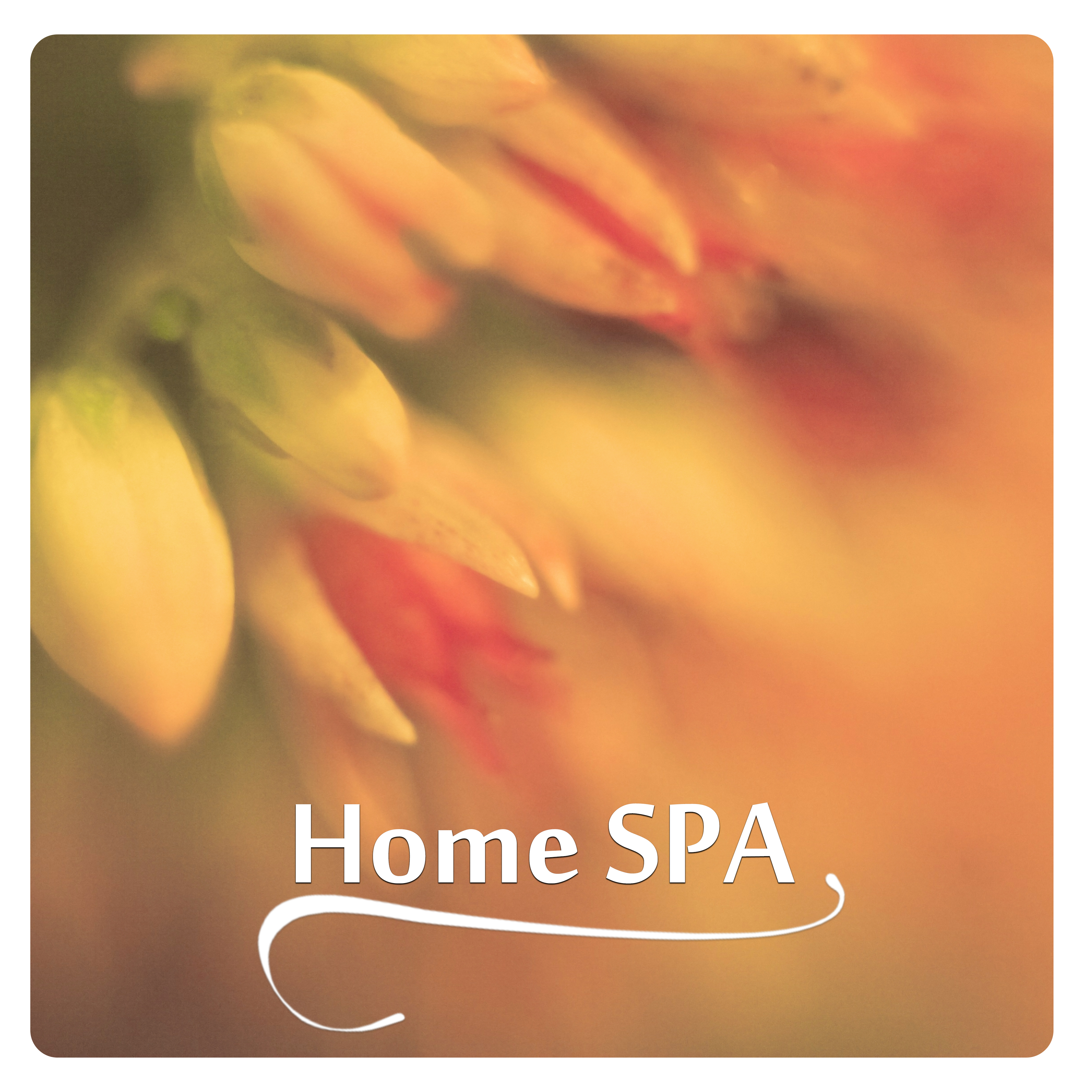 Home SPA – Relaxation in Bath SPA, Massage, Aromatherapy, Serenity SPA, Nail SPA & Wellness