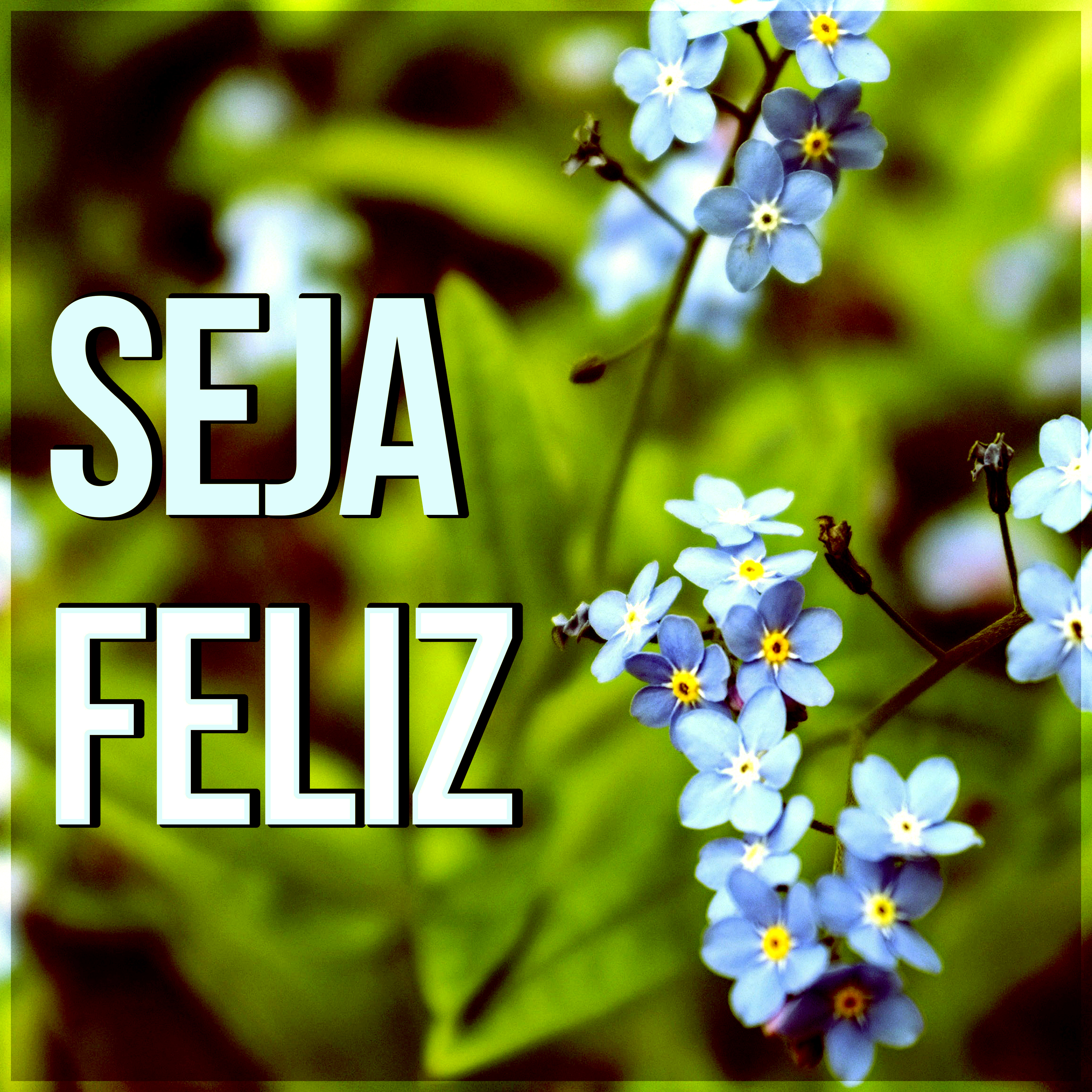 Seja Feliz - Sons da Natureza, Música Ambiente para Relaxamento e Meditação, Yoga Pré-Natal, Pilates e Tai Chi, Música para Dormir, Som do Oceano para a Massagem e Spa, Livro de Leitura, Música para Estudar