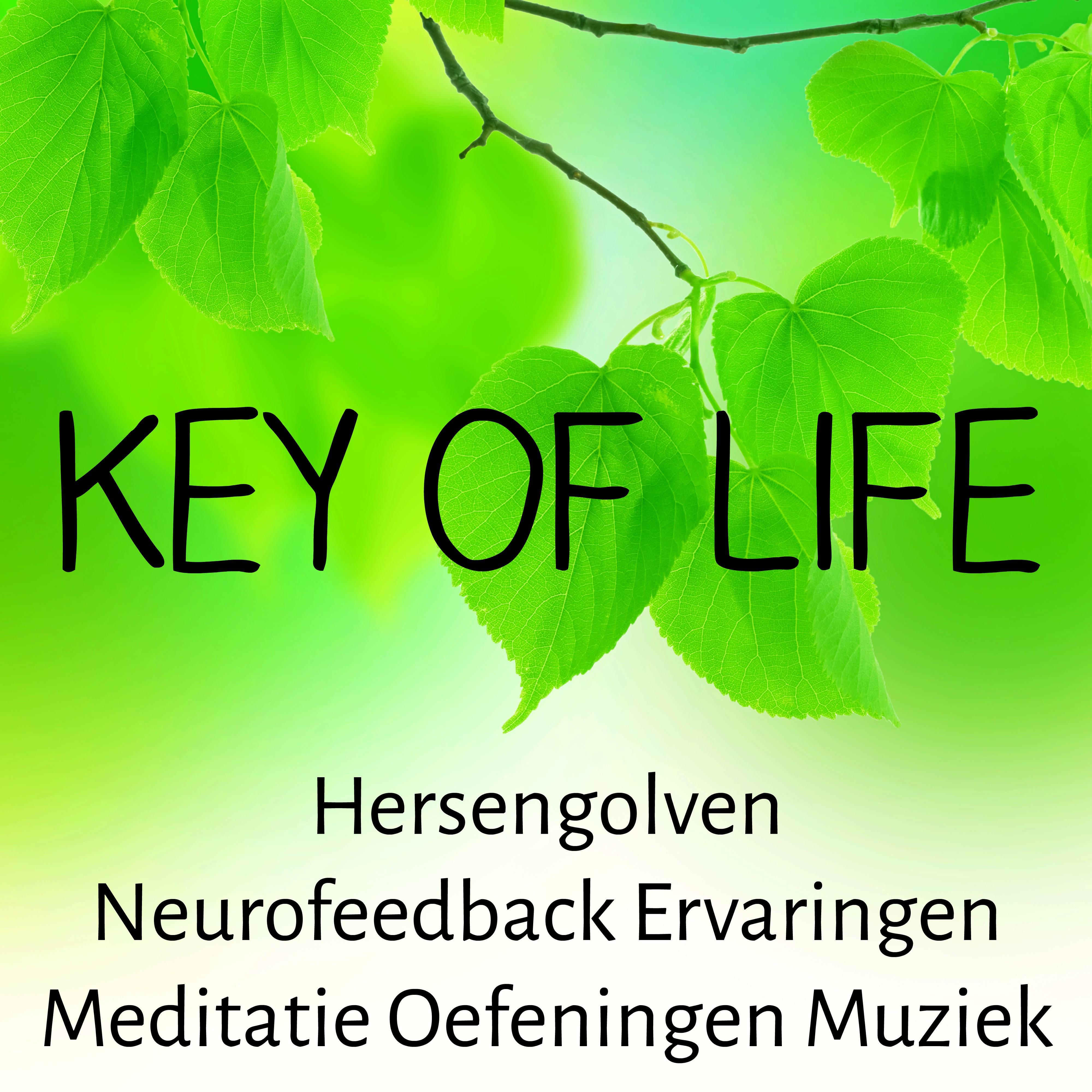 Key of Life - Hersengolven Neurofeedback Ervaringen Meditatie Oefeningen Muziek voor Slaapproblemen Biofeedback Opleiding en Stress Verminderen