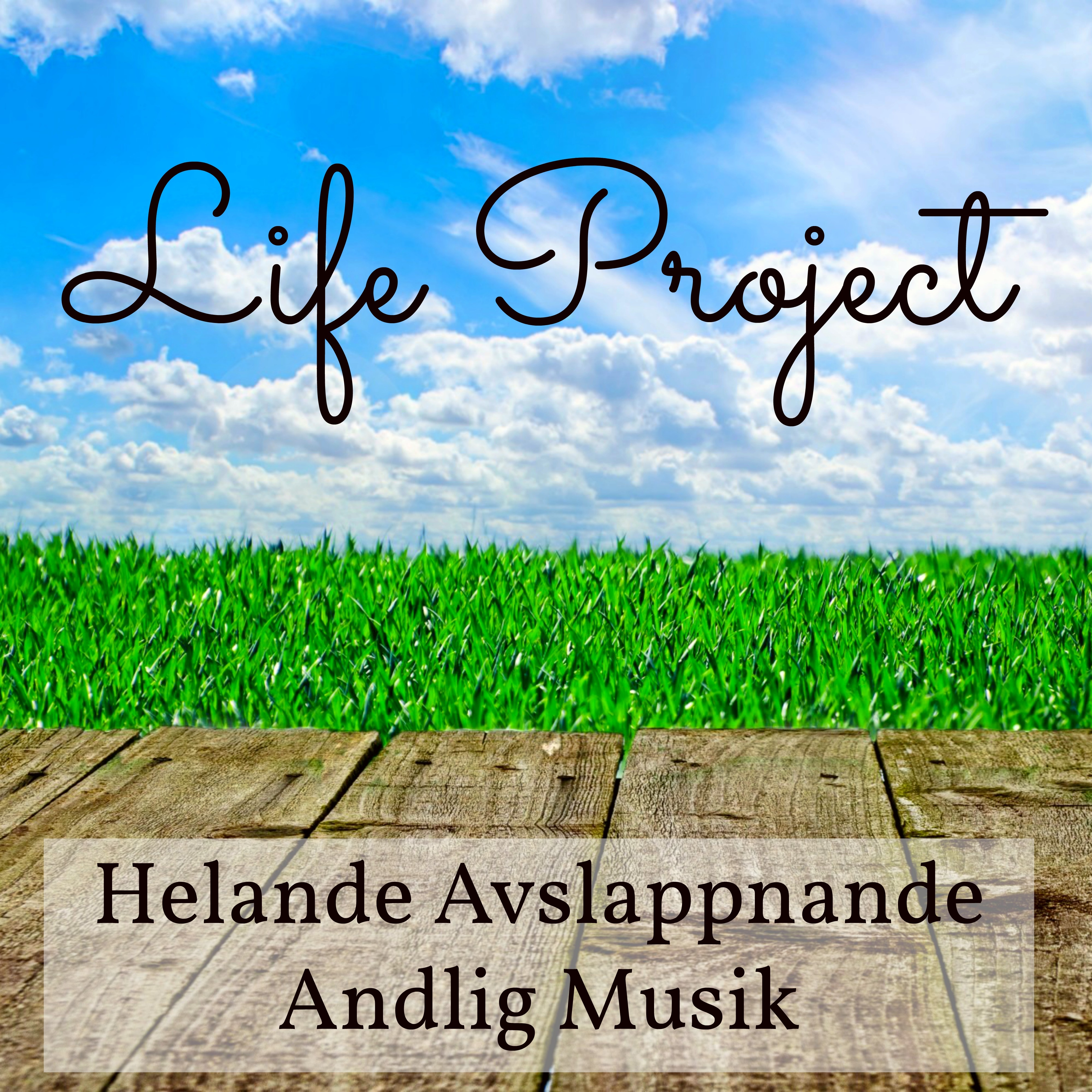 Life Project - Helande Avslappnande Andlig Musik med Instrumental New Age Söta Meditativ Ljud