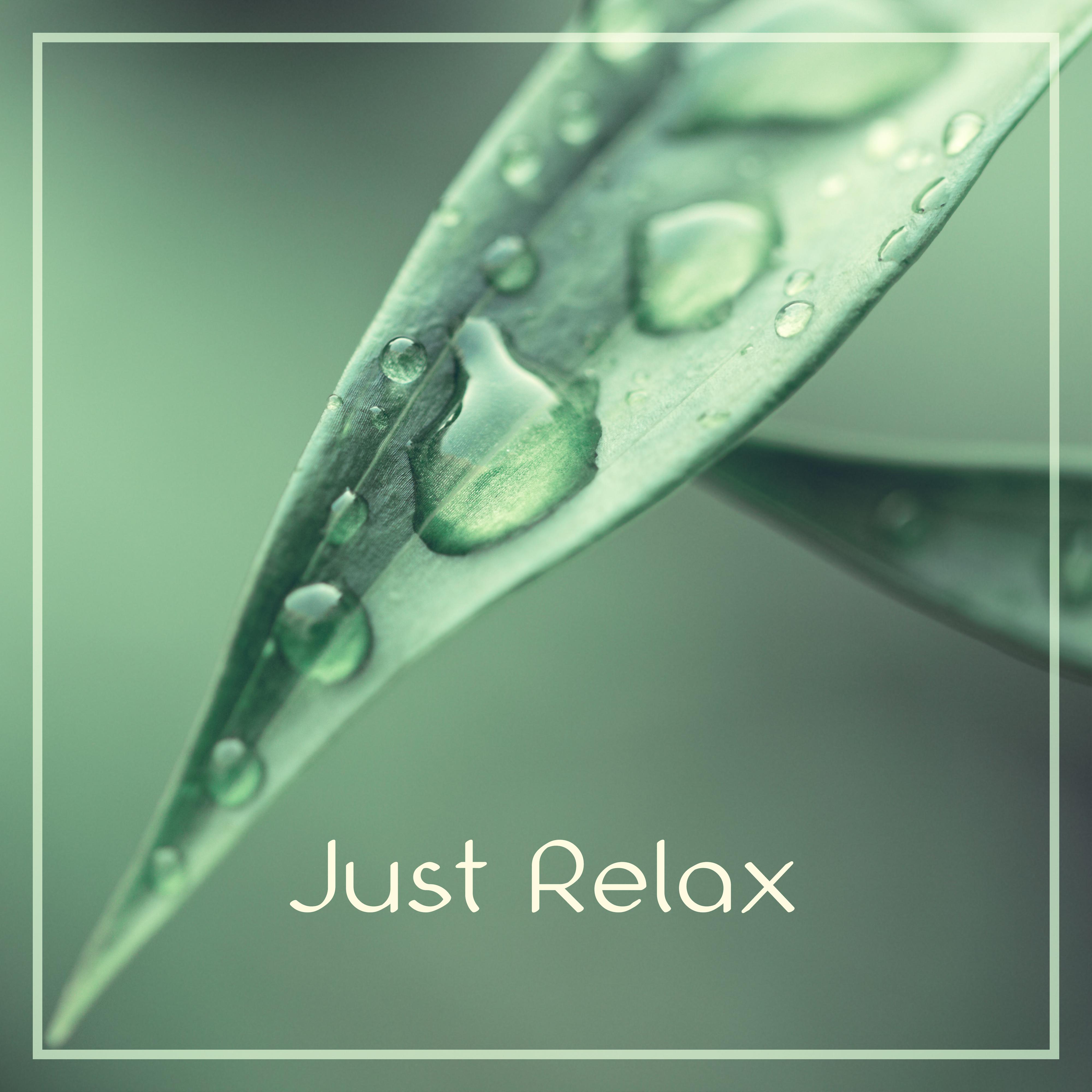Just Relax – New Age Music, Pure Relaxation, Rest, Deep Sounds of Nature, Instrumental