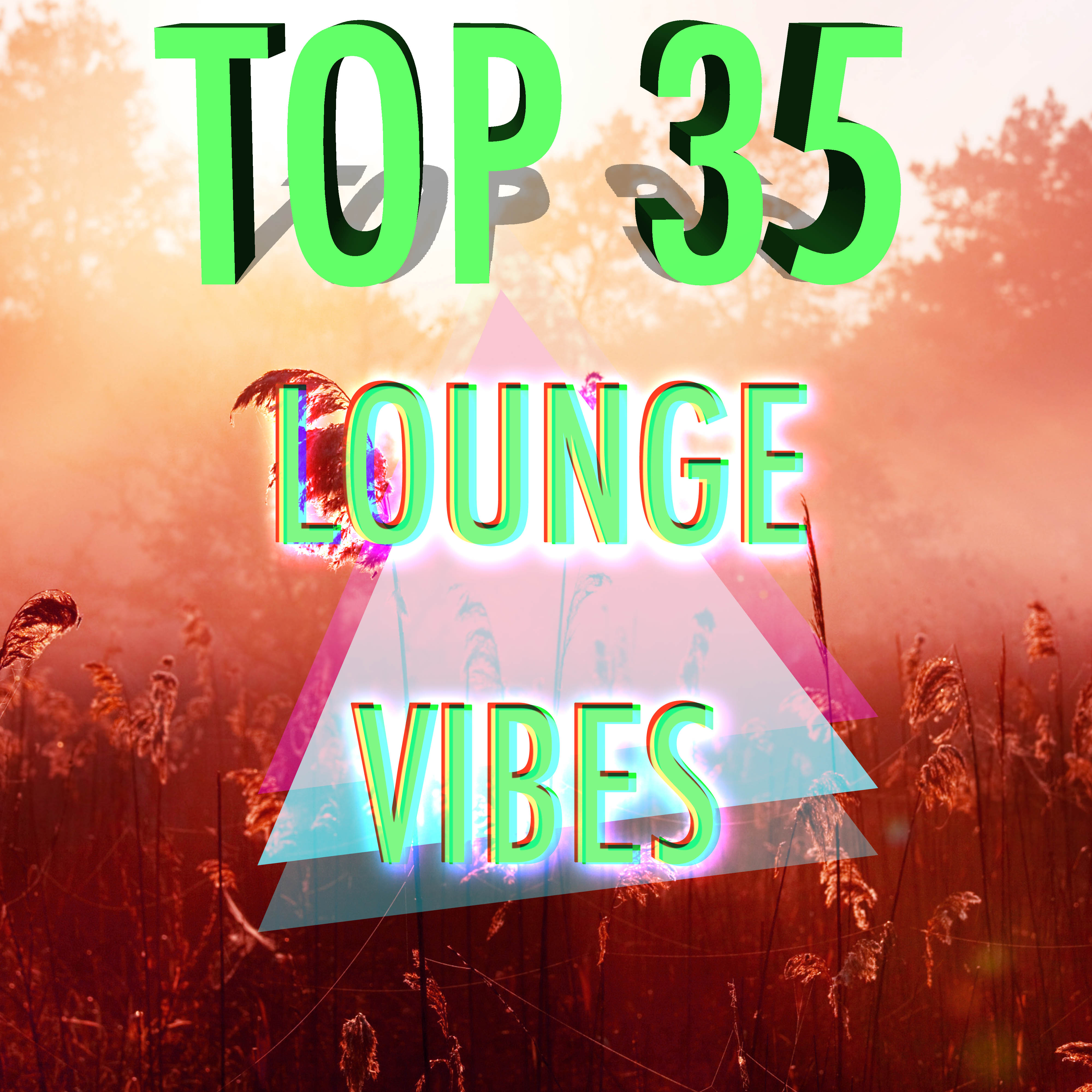 Top 35 Lounge Vibes: La Mejor Música Chillout para Cenar durante una Fiesta
