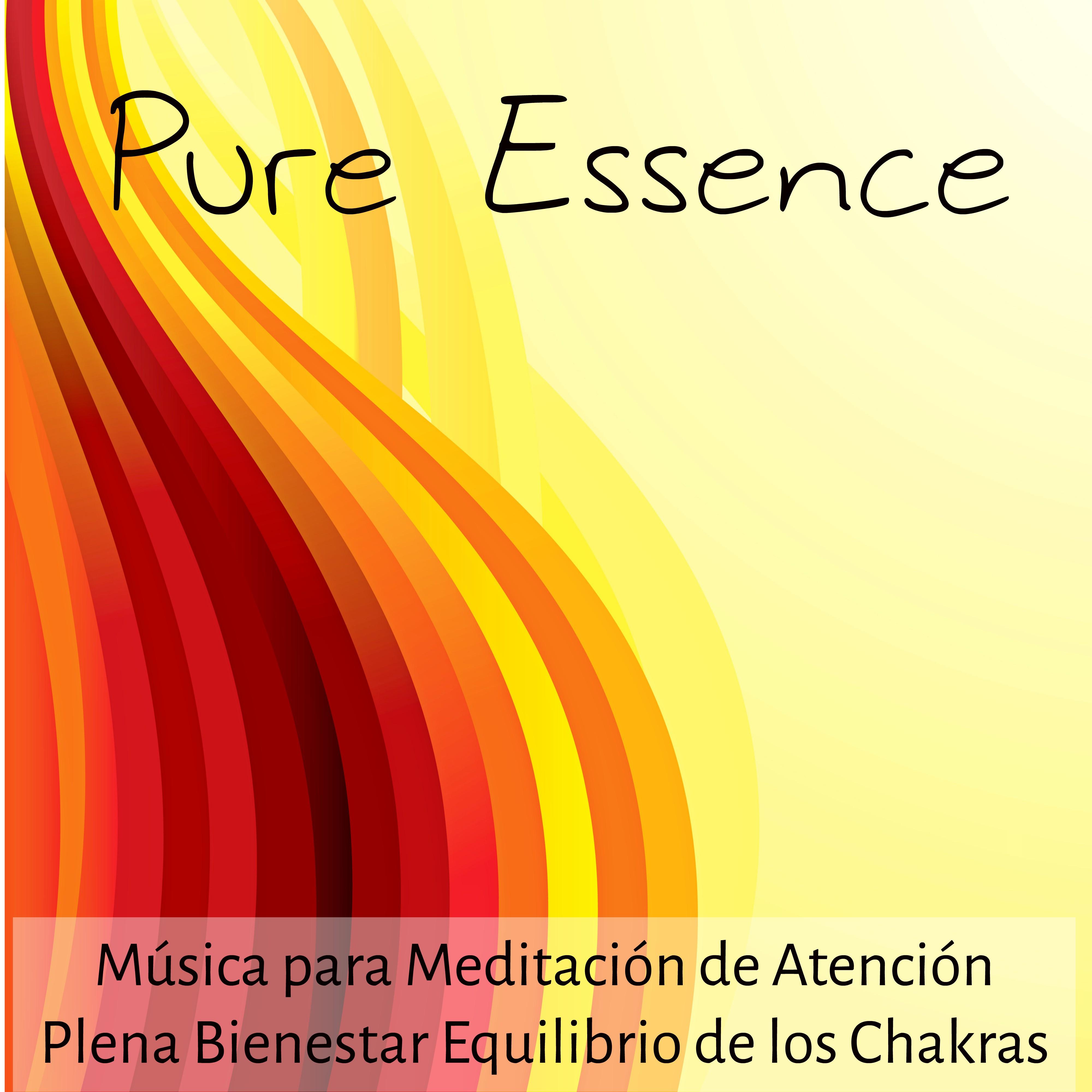 Pure Essence - Música para Meditación de Atención Plena Bienestar Equilibrio de los Chakras com Sonidos Naturales Instrumentales New Age