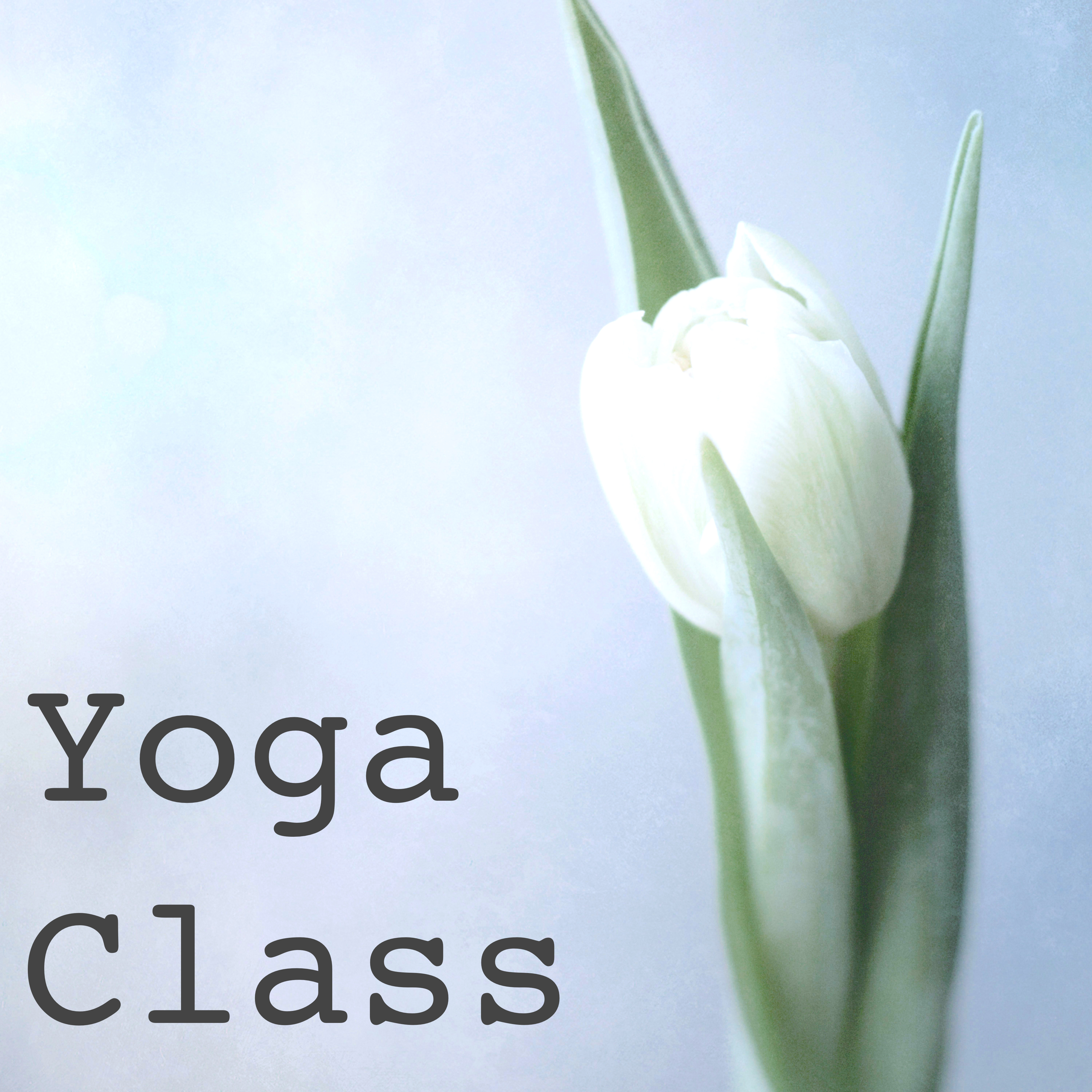 Yoga Class – 25 Songs: Deep Meditation Music for Yoga Morning Salutation, Pranayama, Hatha Yoga and Reiki, Best Soothing Piano Songs for Mindfulness