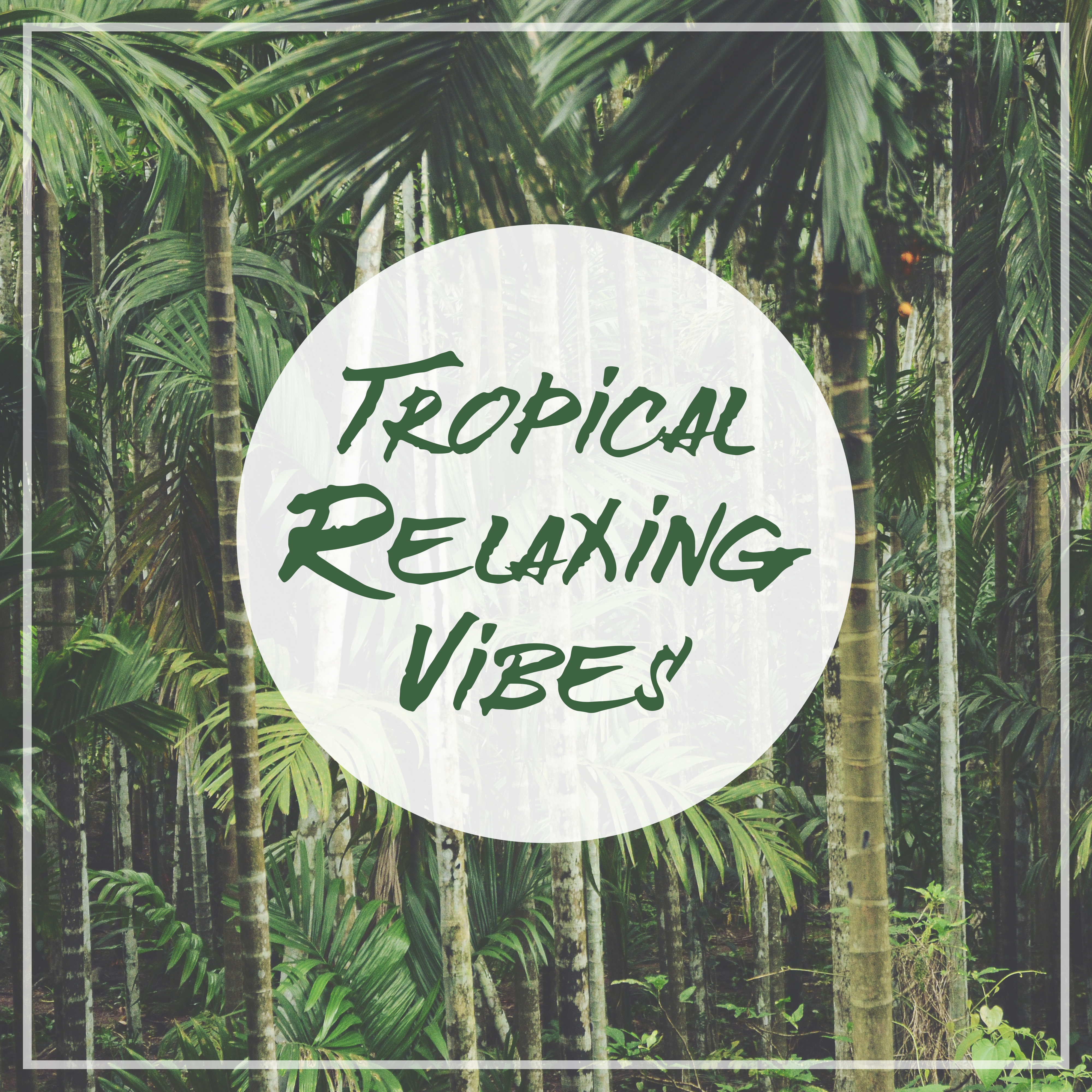 Tropical Relaxing Vibes