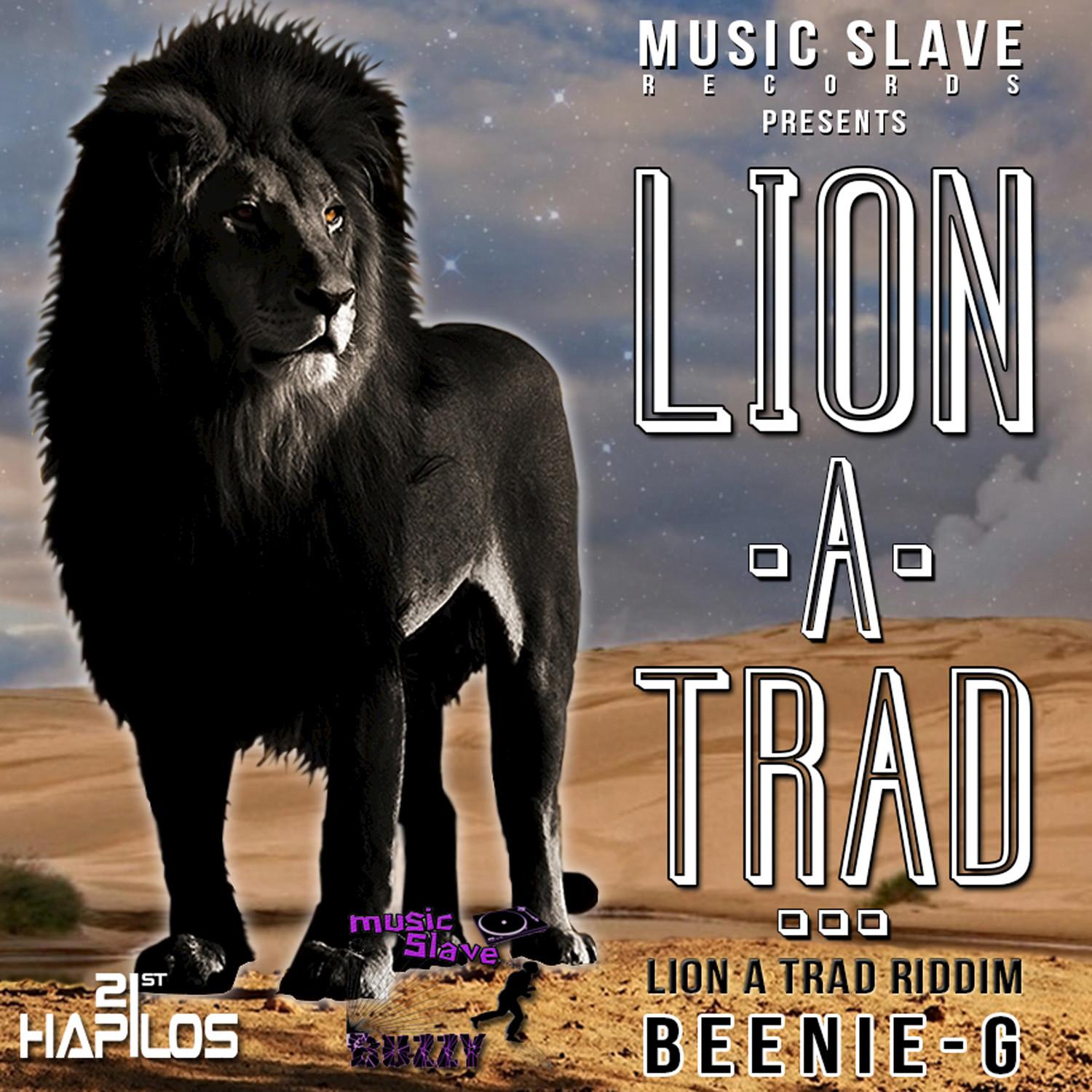 Lion a Trad