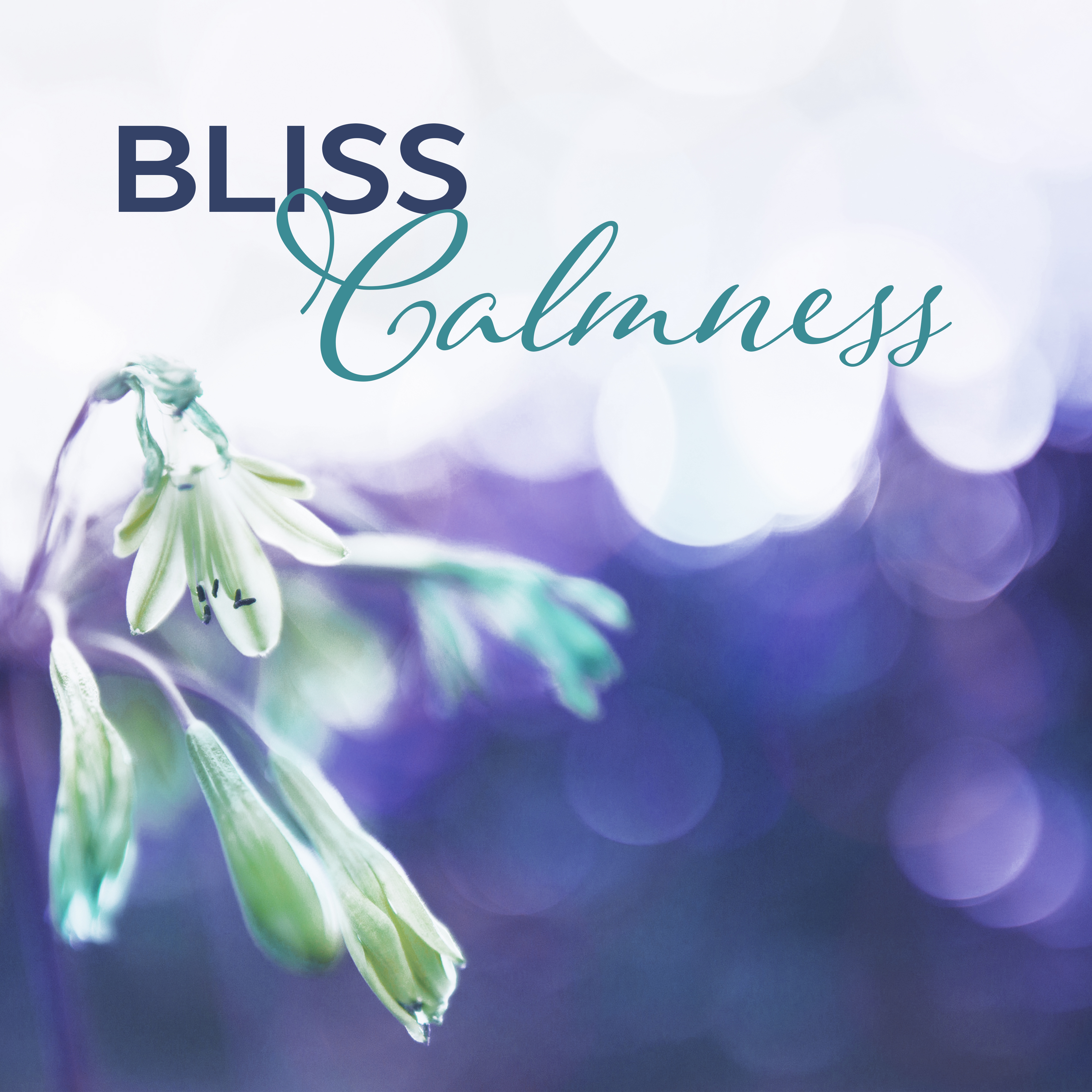 Bliss Calmness – Anti-Stress Music Therapy, Relaxation, Rest, Zen, Harmony Life, Nature Sounds
