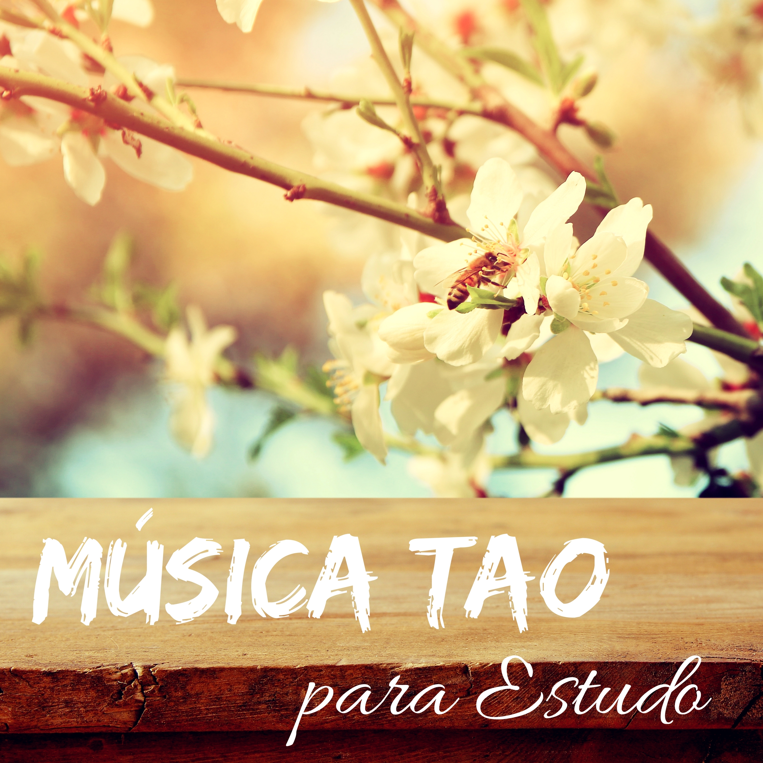 Música Tao para Estudo