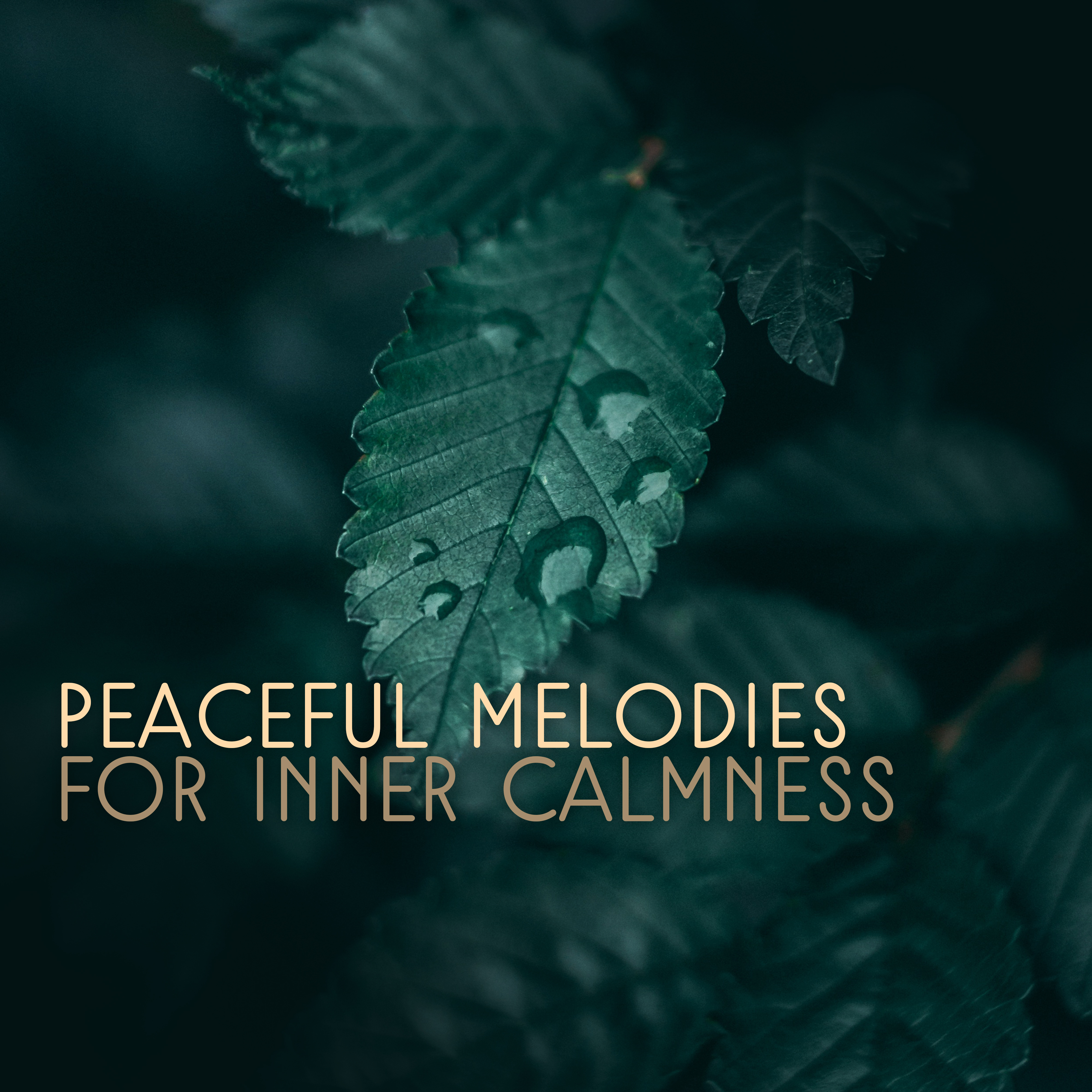 Peaceful Melodies for Inner Calmness