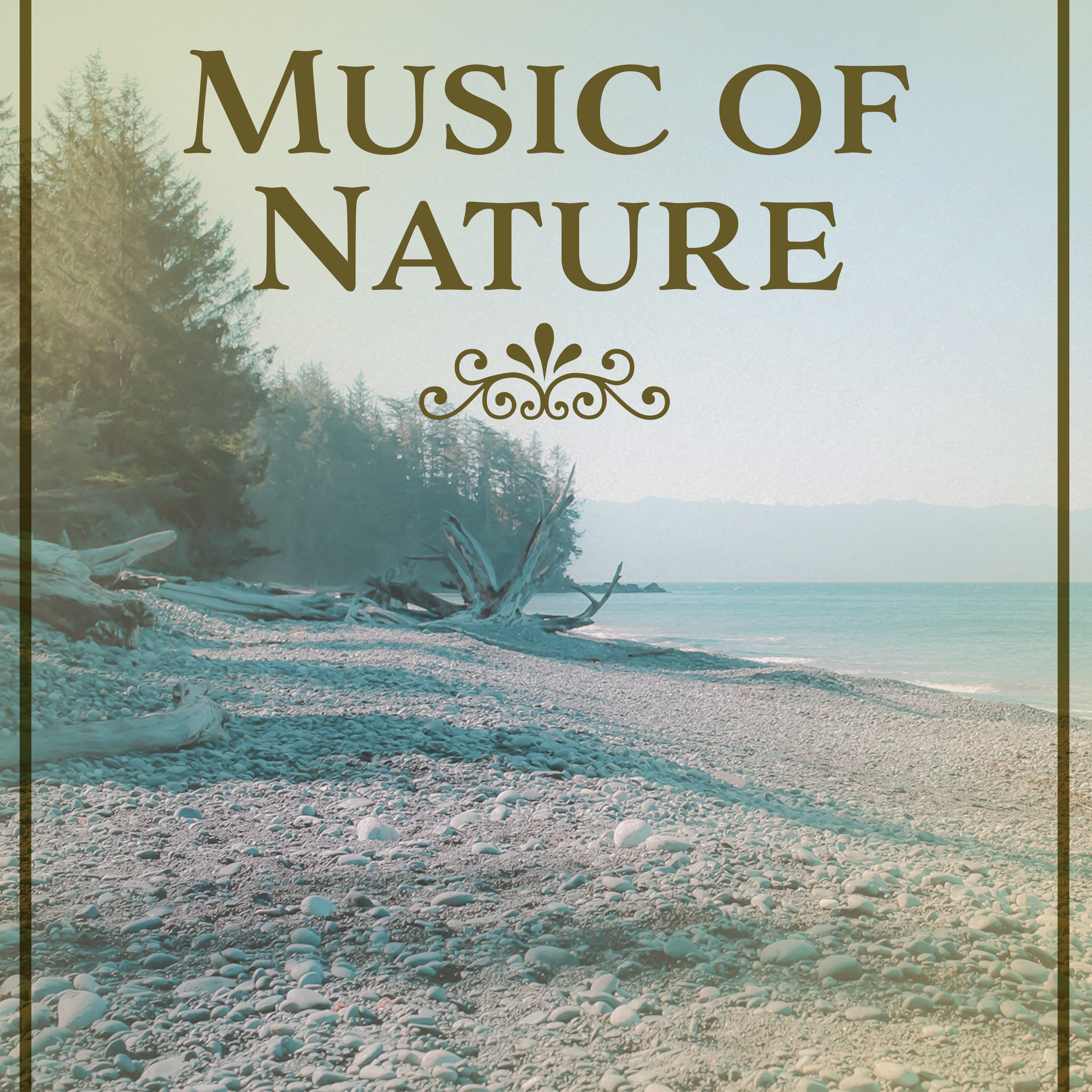 Music of Nature – Calming Sounds of Nature, Relaxing Music, Massage, Sleep, Meditation, Relaxed Body & Soul