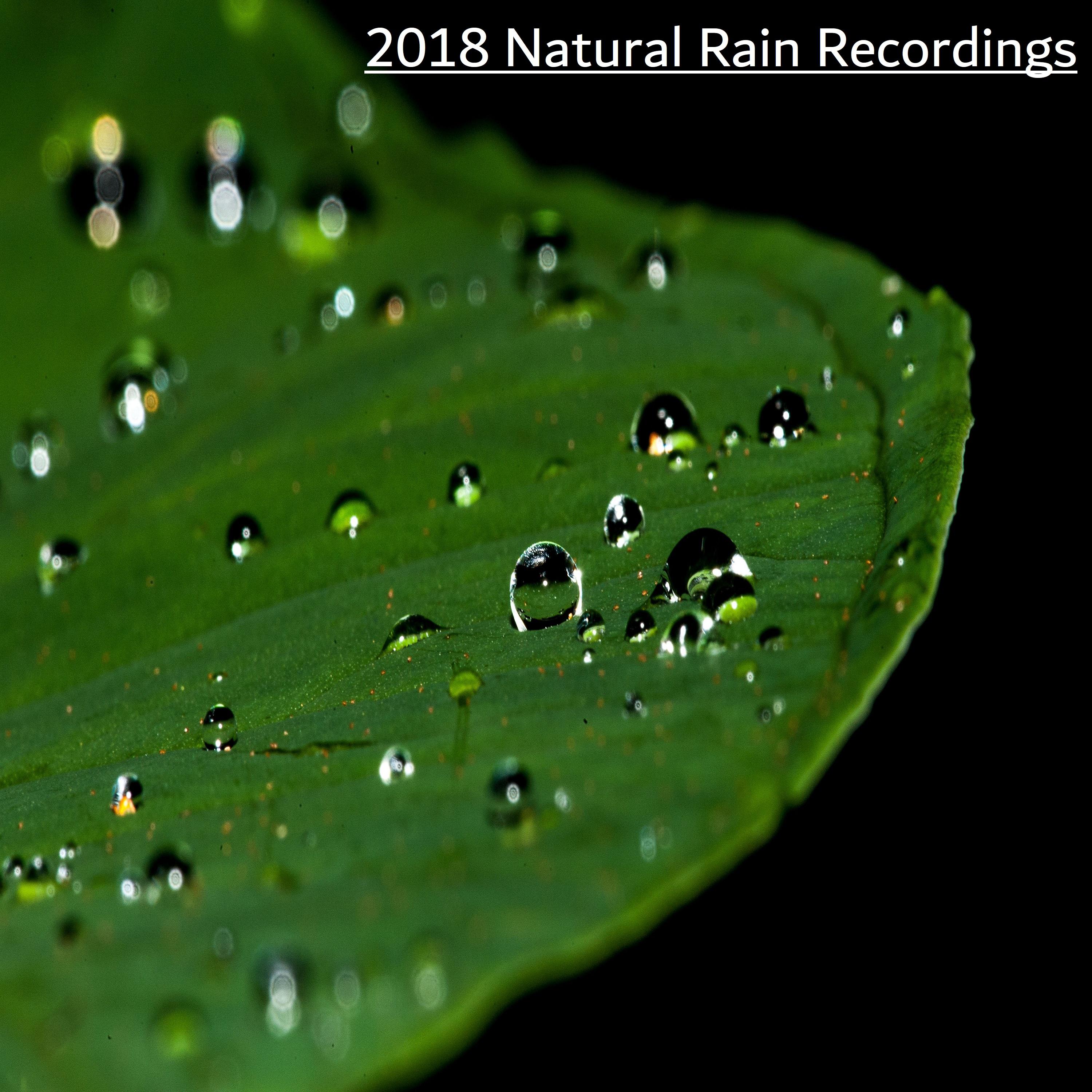 2018 Natural Rain Recordings