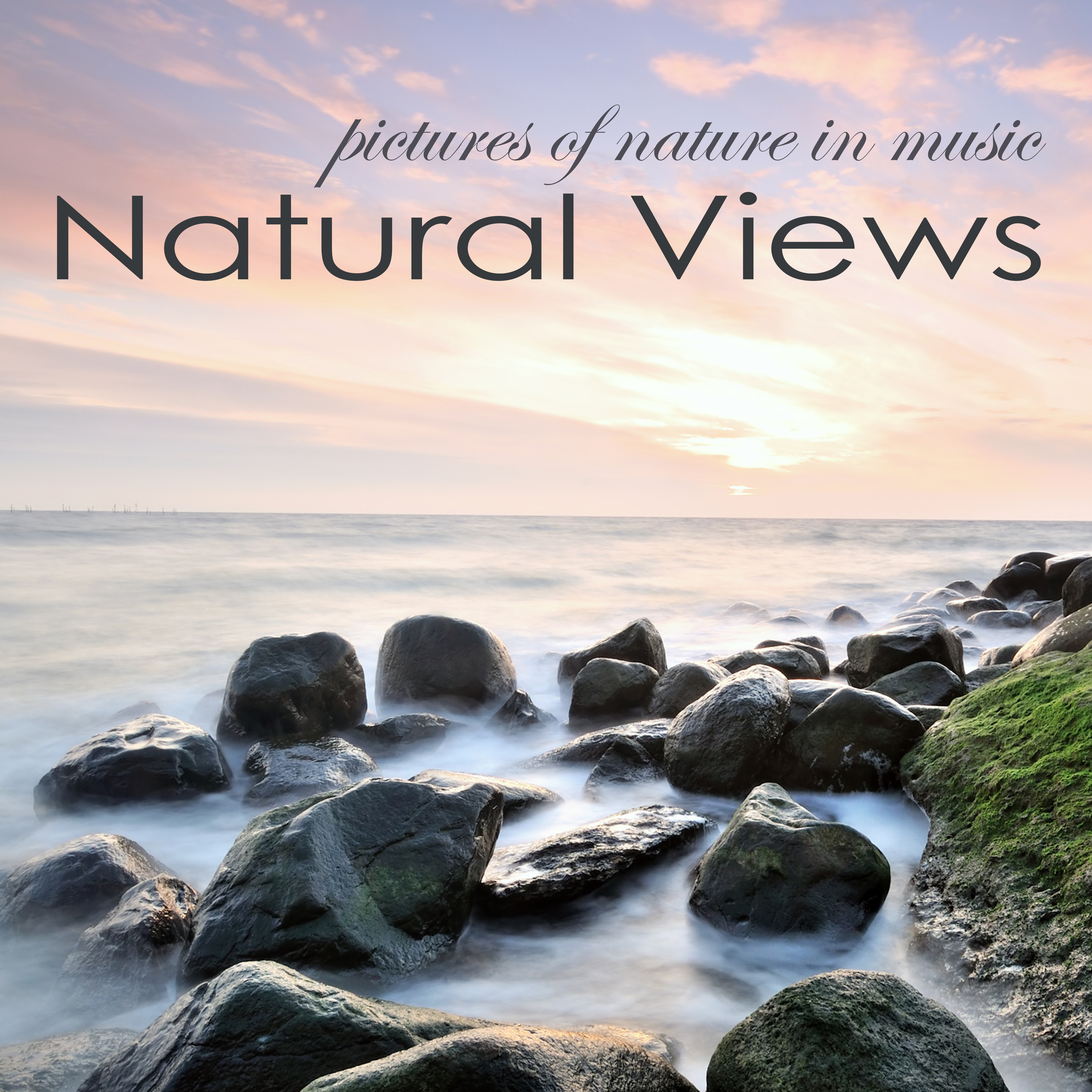 Natural View