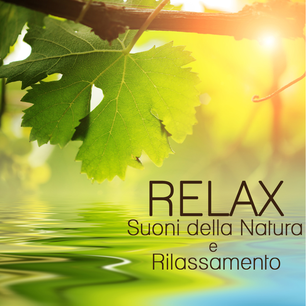 Relax nel Giardino Segreto - Nel Bosco