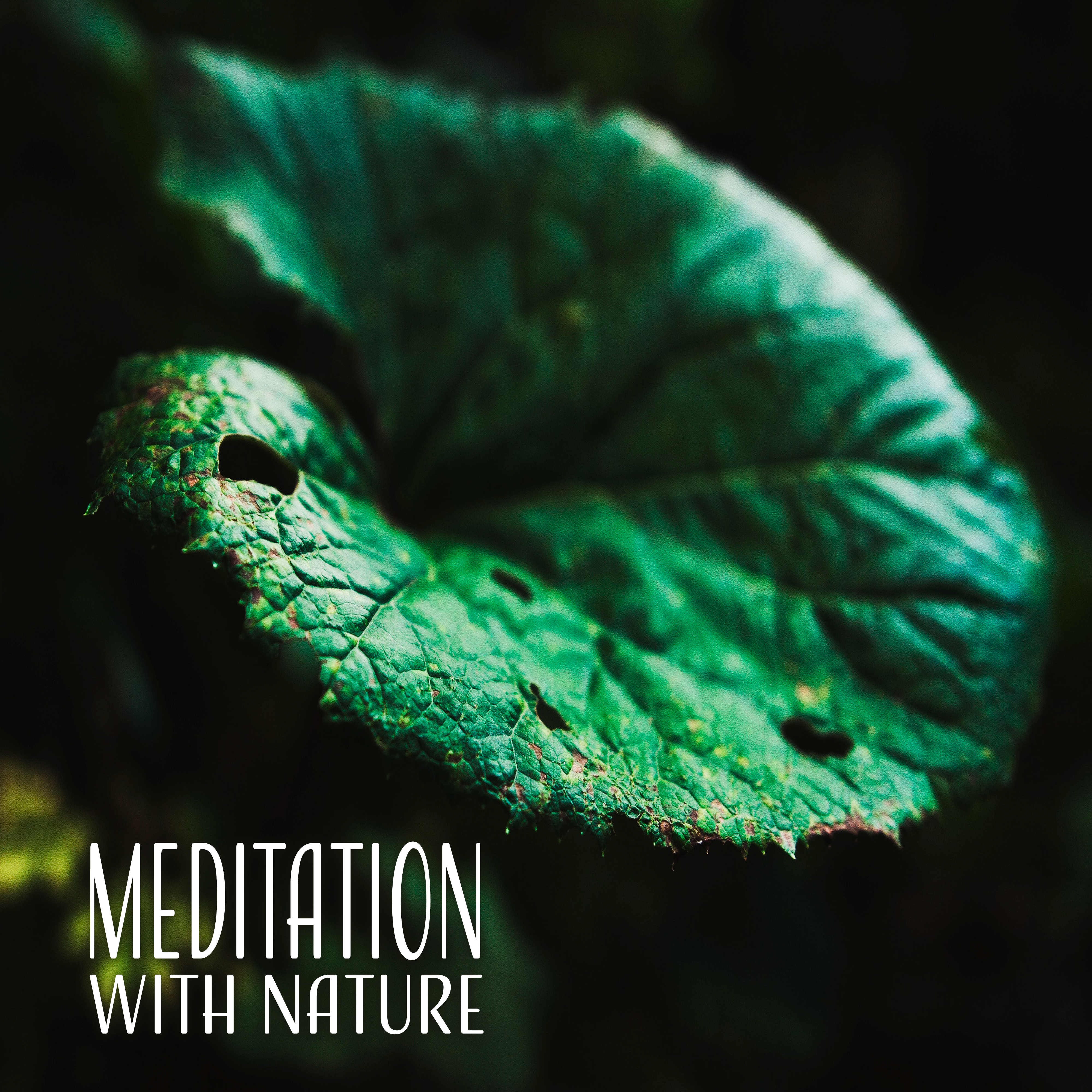 Meditation with Nature – Peaceful Melodies, Meditate, Hatha Yoga, Deep Sleep, Inner Balance