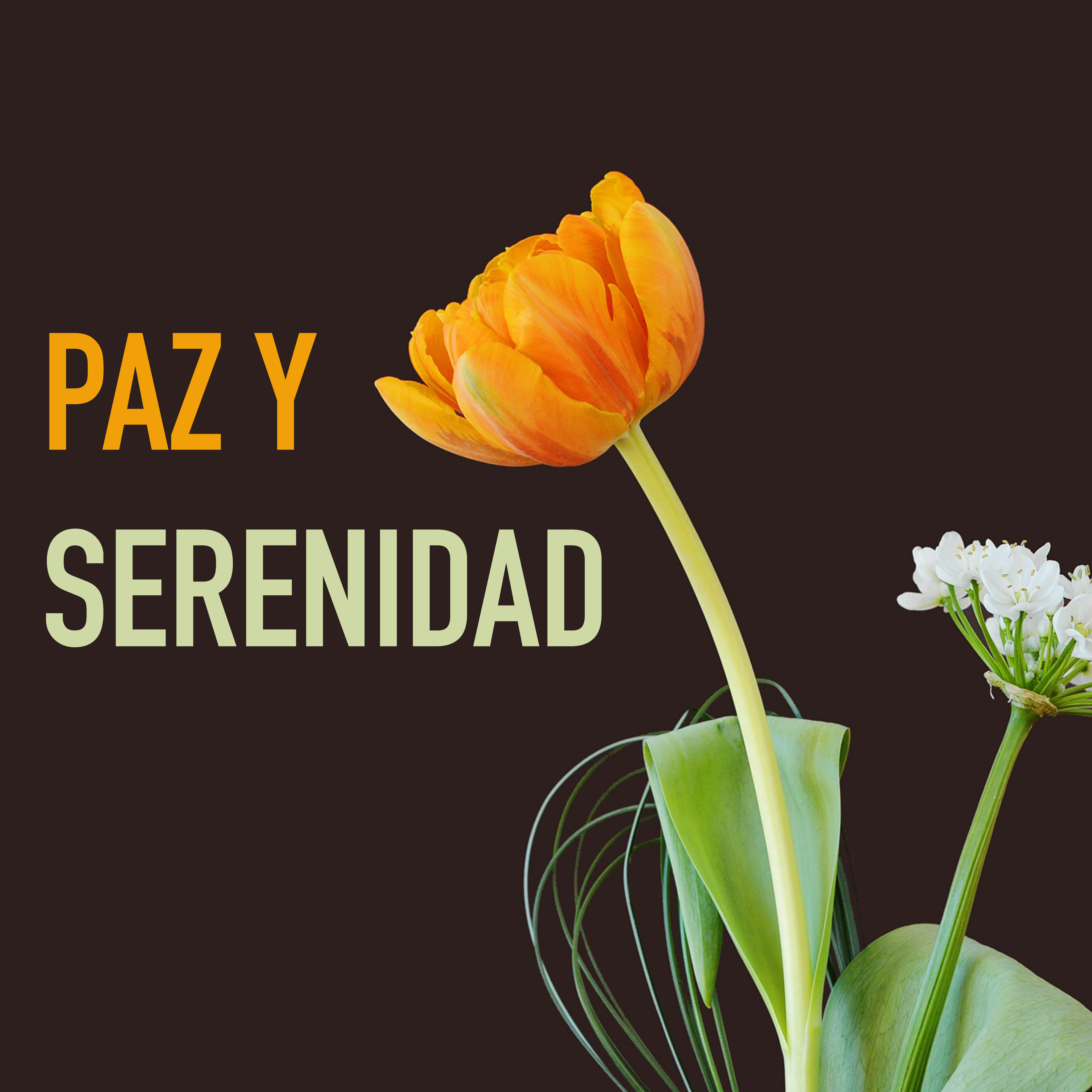 Paz y Serenidad - Encontrar la Felicidad con Música Relajante y Sonidos de la Naturaleza para Sanar el Alma