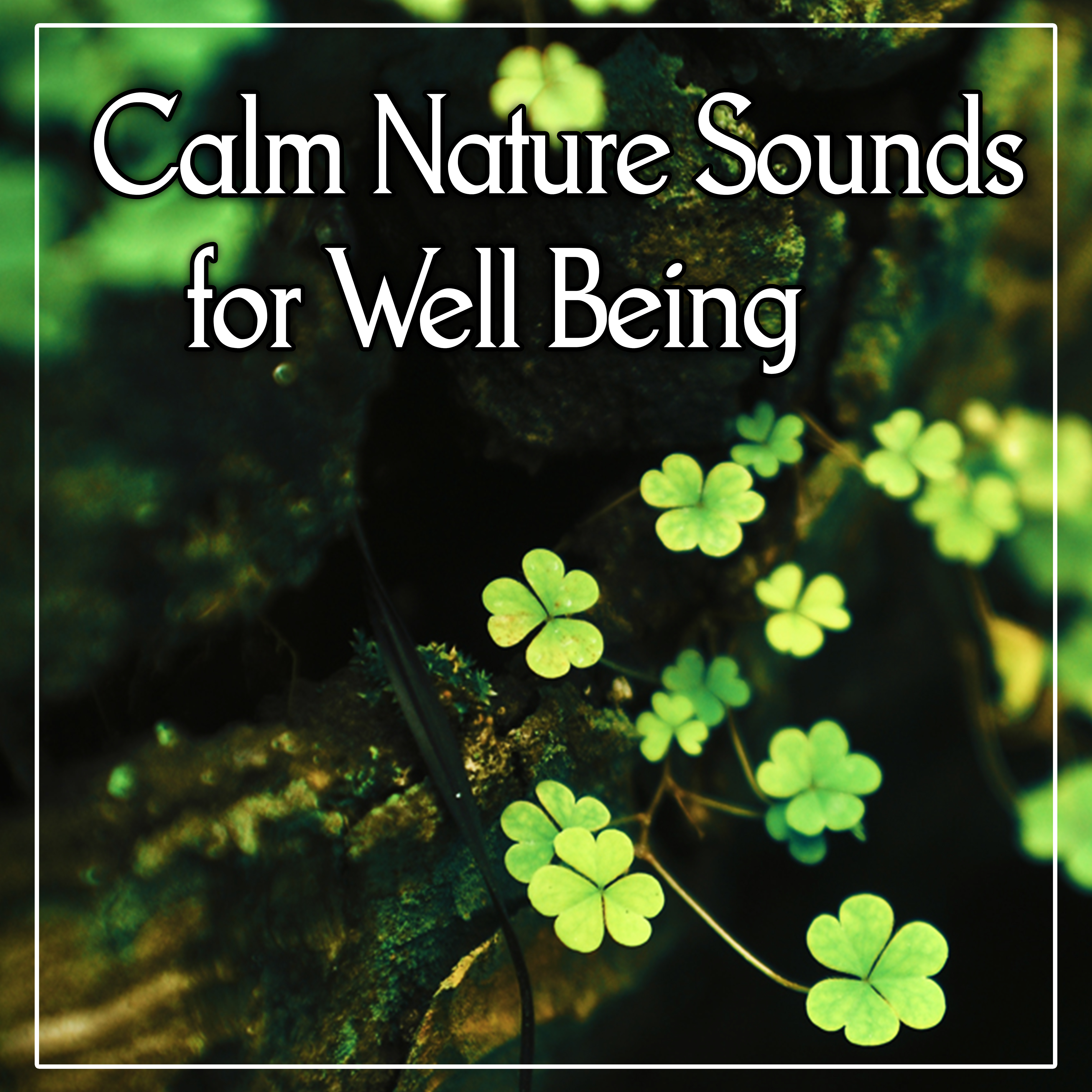 Calm Nature Sounds for Well Being - Yoga Music, Meditation, Relaxation, Serenity Spa, Deep Sleep, Massage & Inner Peace