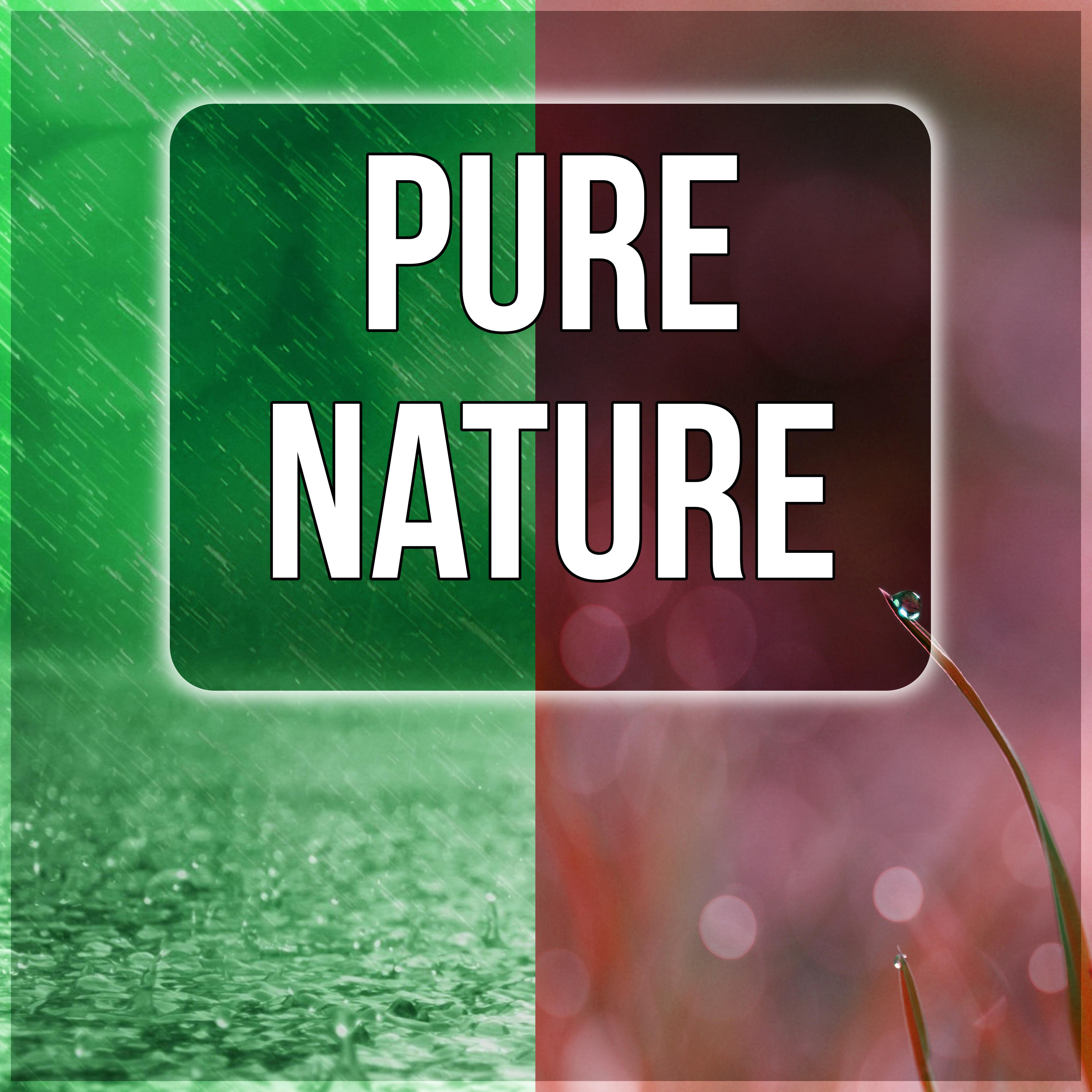 Pure Nature – Calm Nature Sounds, Natural Therapy, Sensual Massage Music, Spa Relaxation