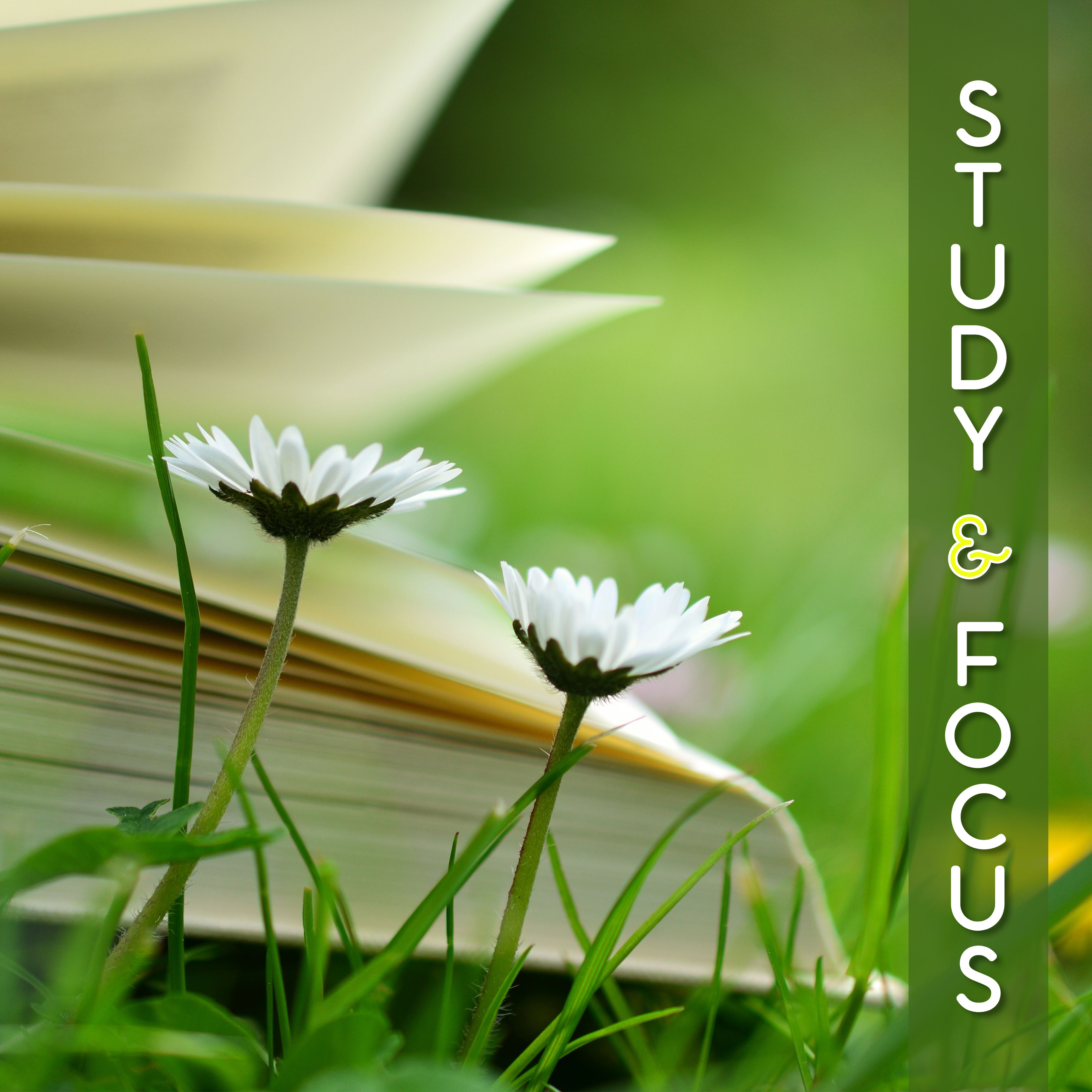 Study & Focus – Music for Learning, Keep Focus & Improve Memory, Relaxing Music for Study