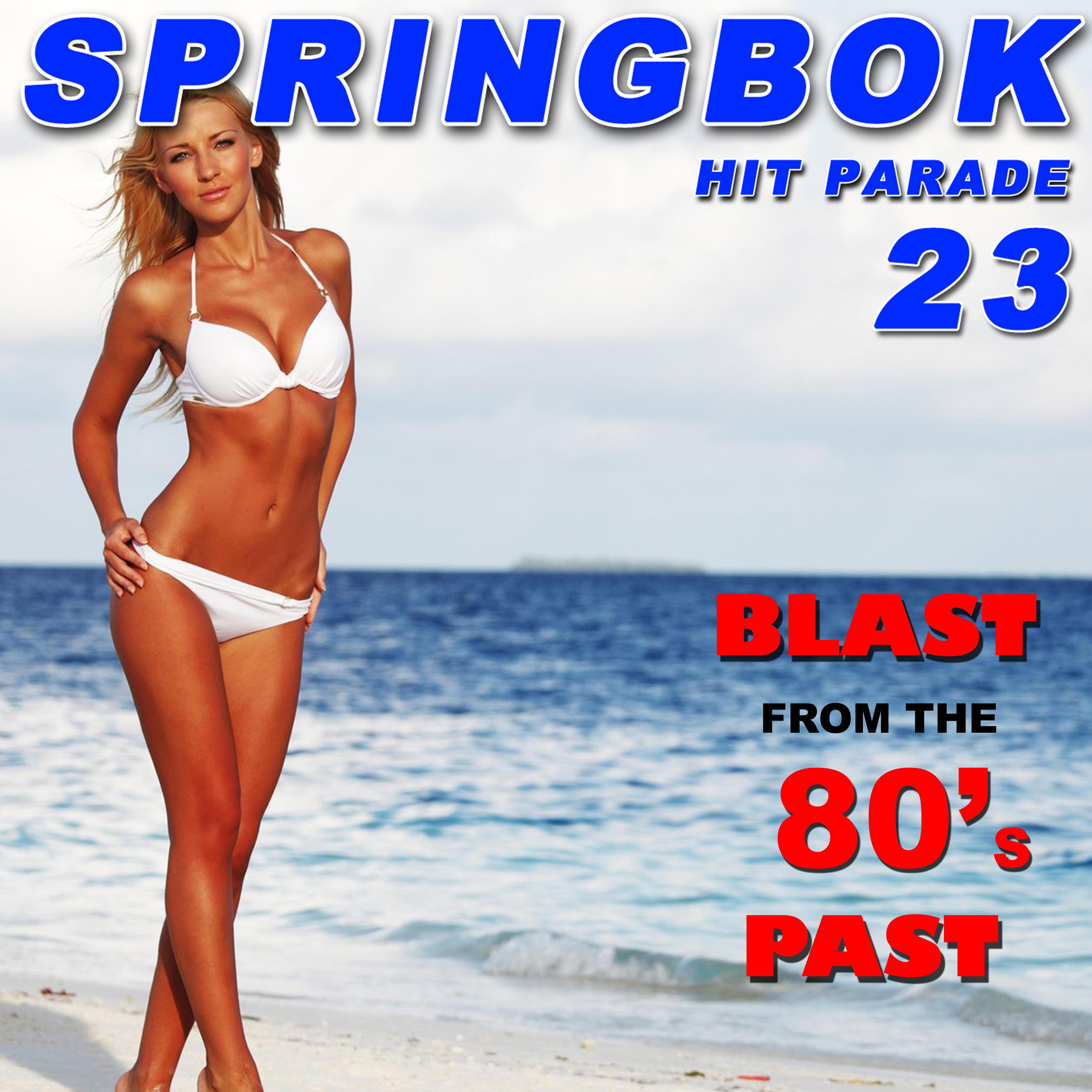 Springbok Hit Parade, Vol. 23