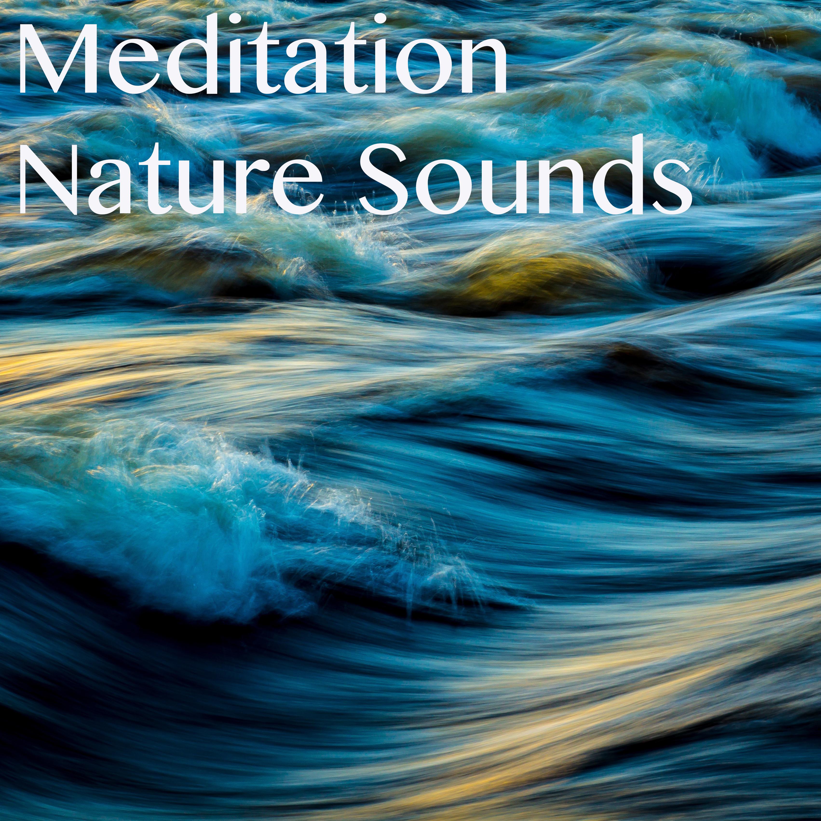 15 Meditation and Deep Sleep Sounds of Rain and Nature