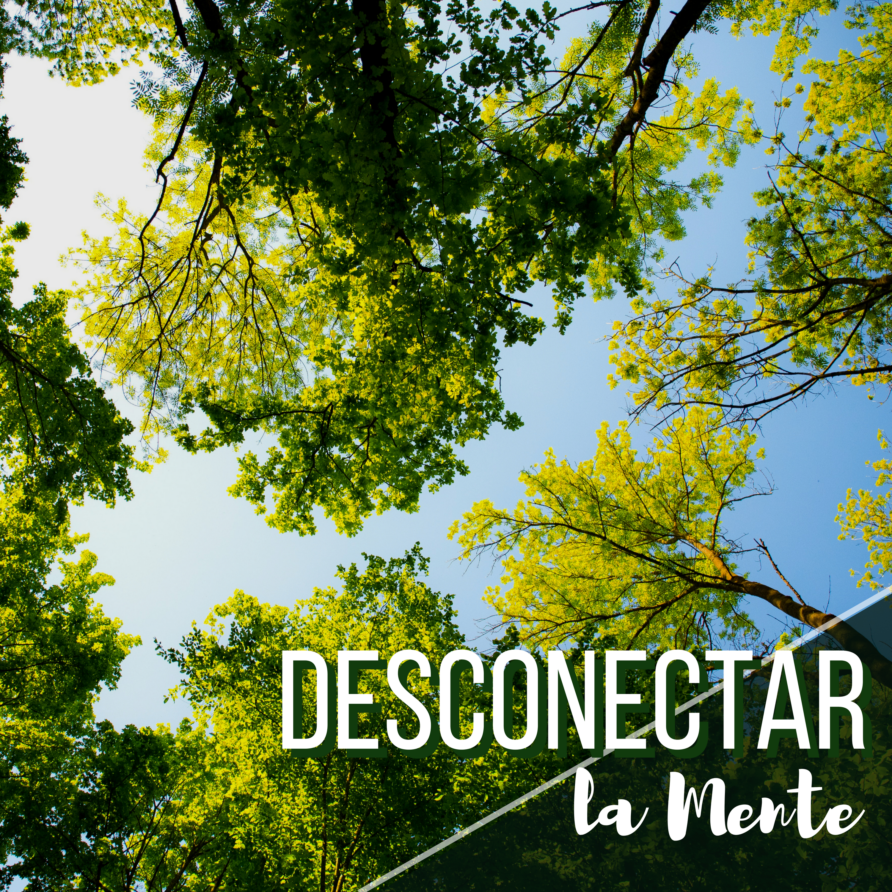 Desconectar la Mente - Música de Ambiente Calmante que Ayuda a Dejar de Pensar y Meditar