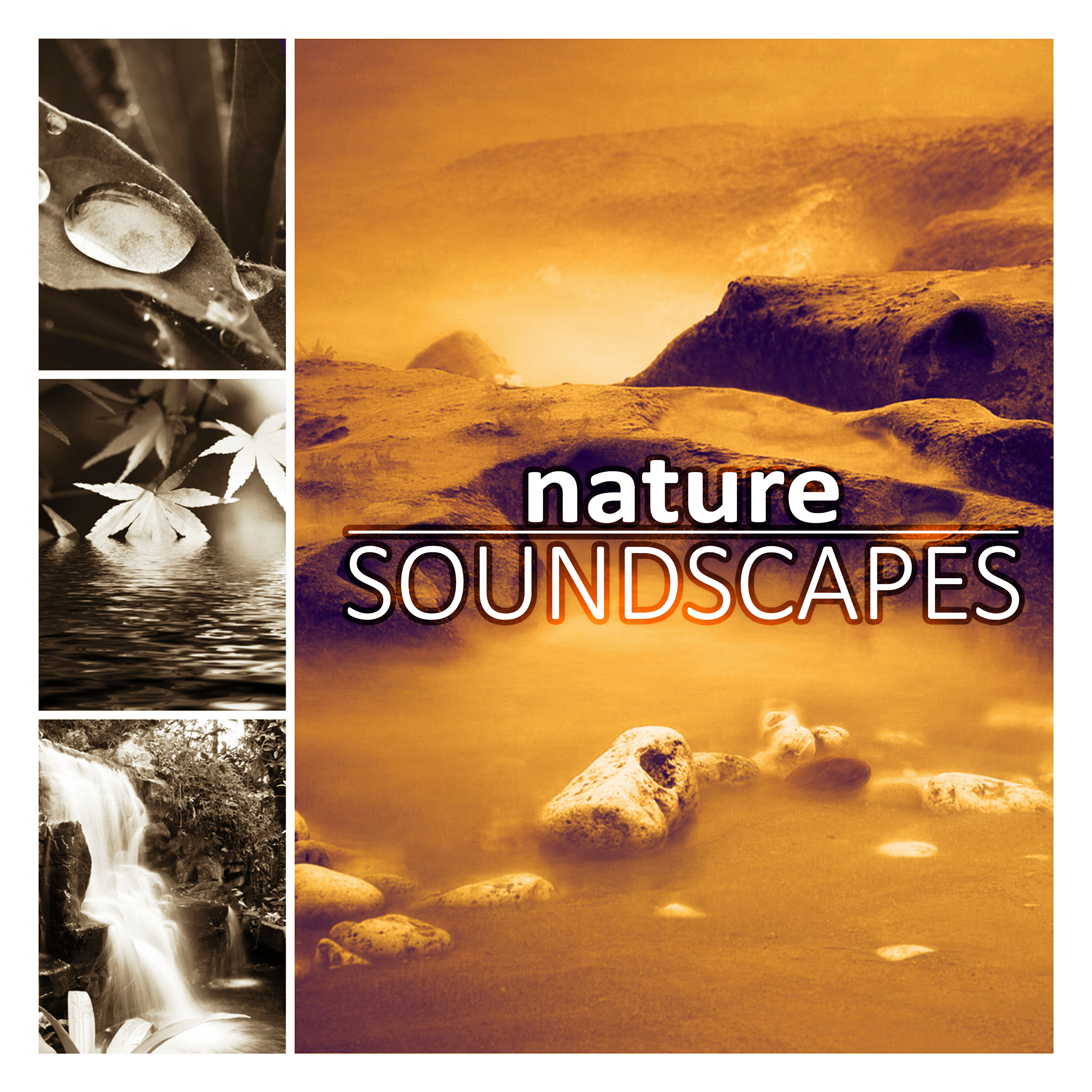 Nature Soundscapes - Soothing Spa Nature Relaxation, Pacific Ocean Waves for Well Being and Healthy Lifestyle, Yin Yoga